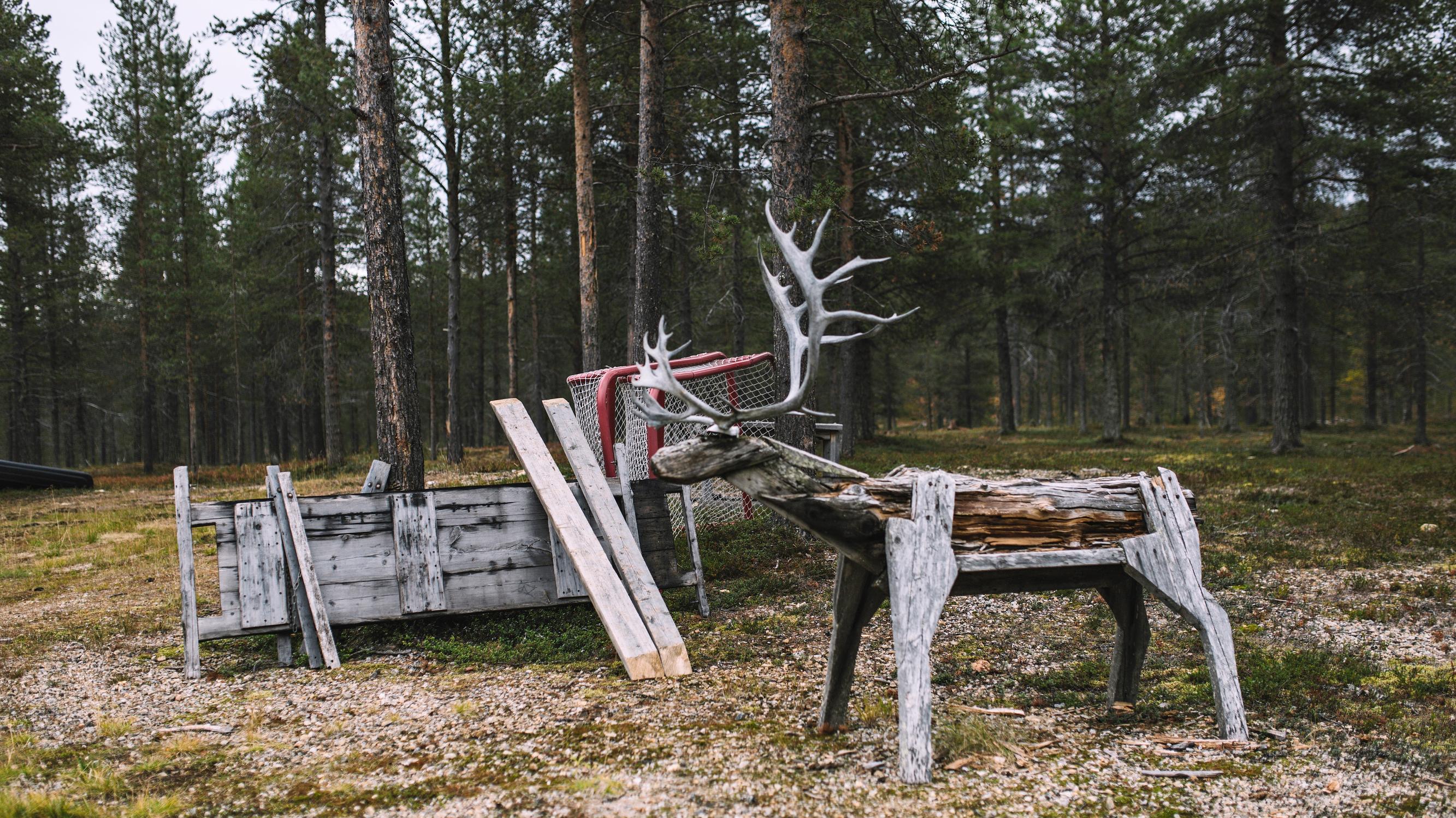 Saamelaisalueilla kahden katastrofin katovuosi – Talvi tappoi porot ja pandemia viimeisteli ahdingon