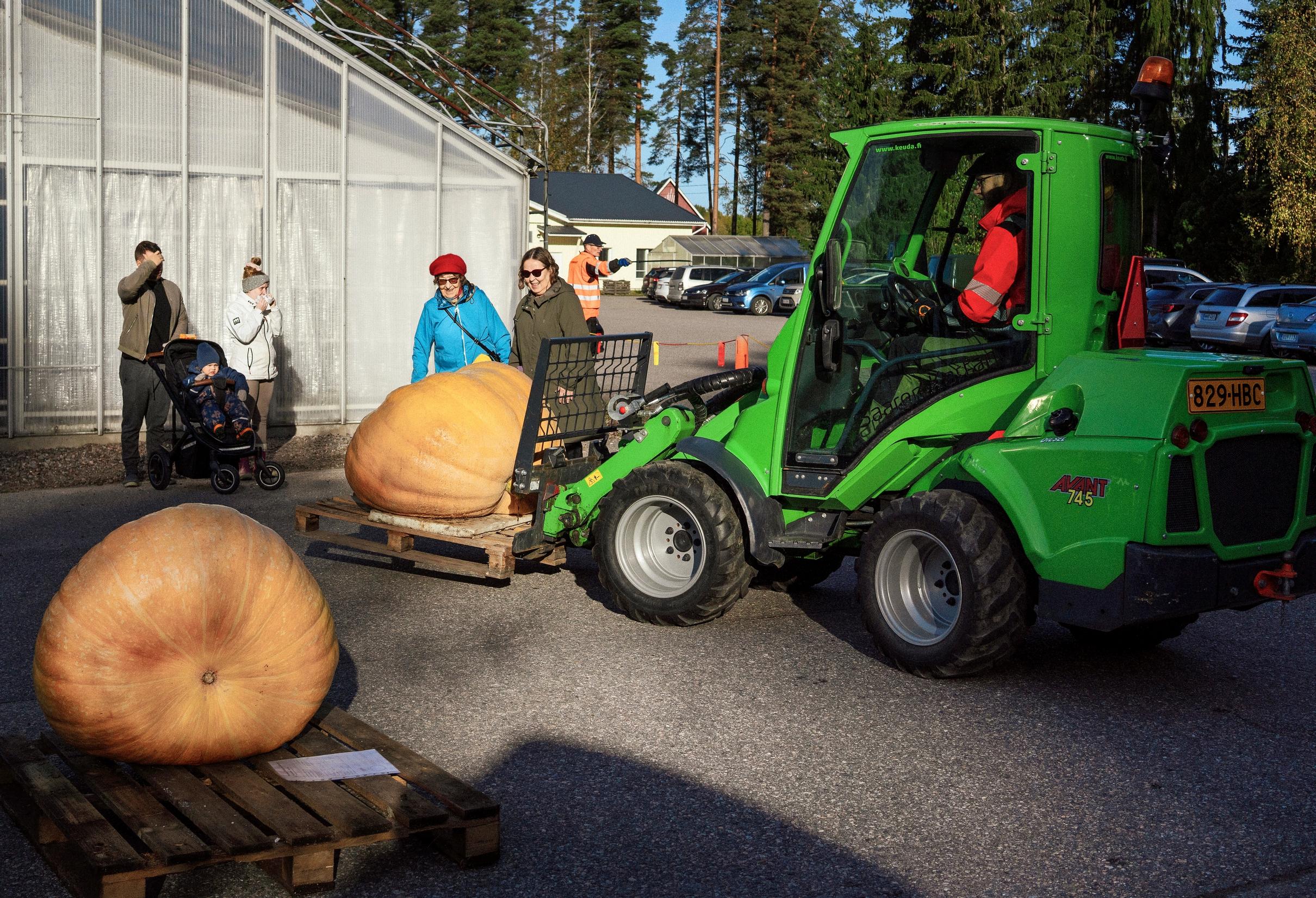 Jukka Varpukari on syönyt vaimonsa kanssa kaksi vuotta yhtä ja samaa kurpitsaa – ”Se ei mahtunut auton takakonttiin”