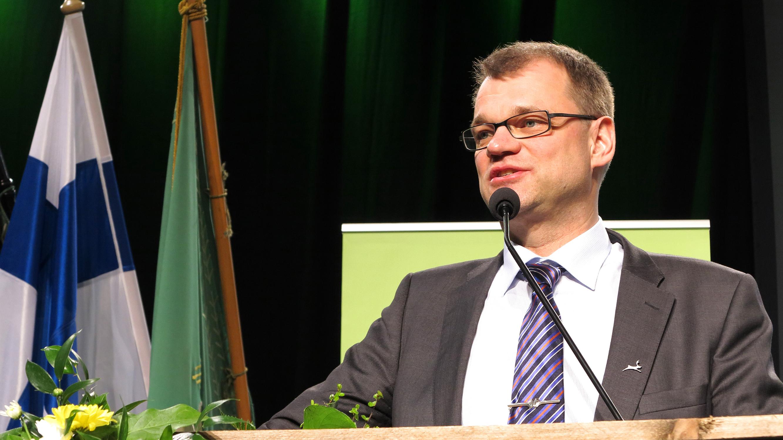 Sipilän hallituksen ministerit – Missä he ovat nyt? Apu selvitti