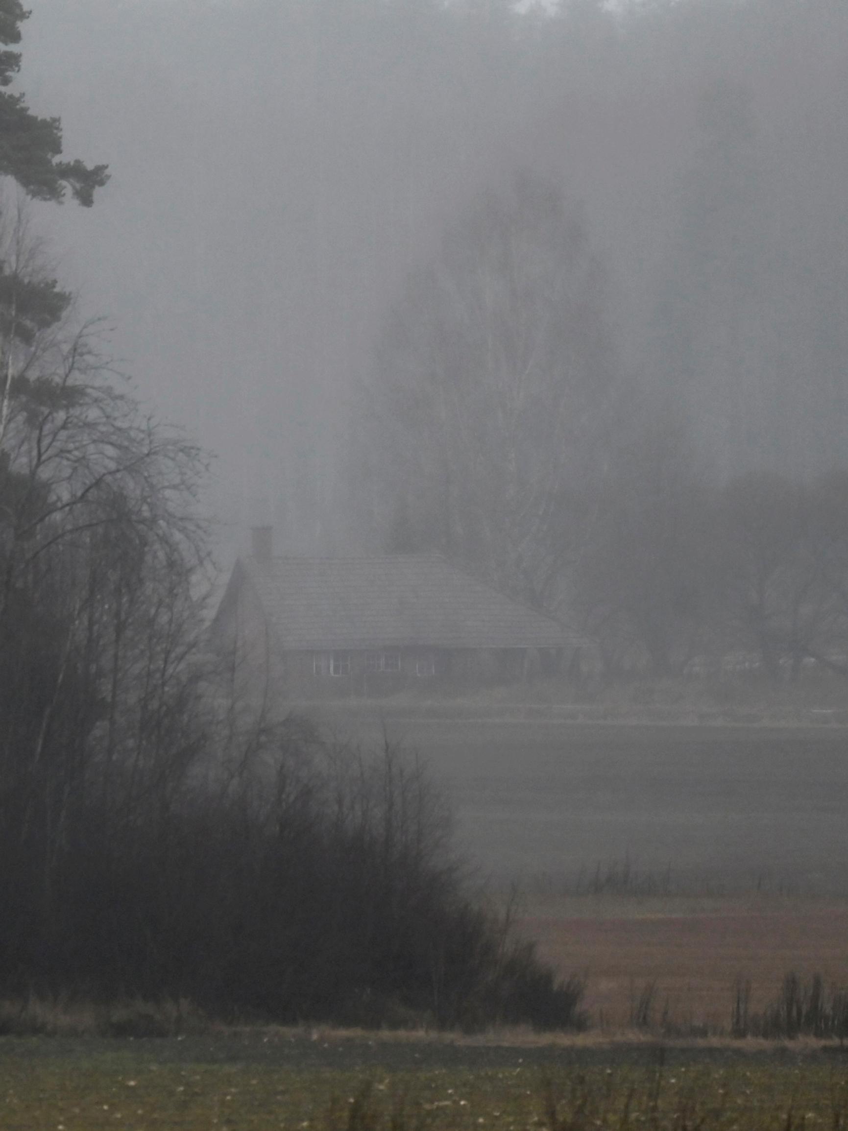 Hämäläisestä metsiköstä löytyi arvoituksellinen viikinkimiekka, joka on niin arvokas, ettei edes sen löytöpaikkaa paljasteta