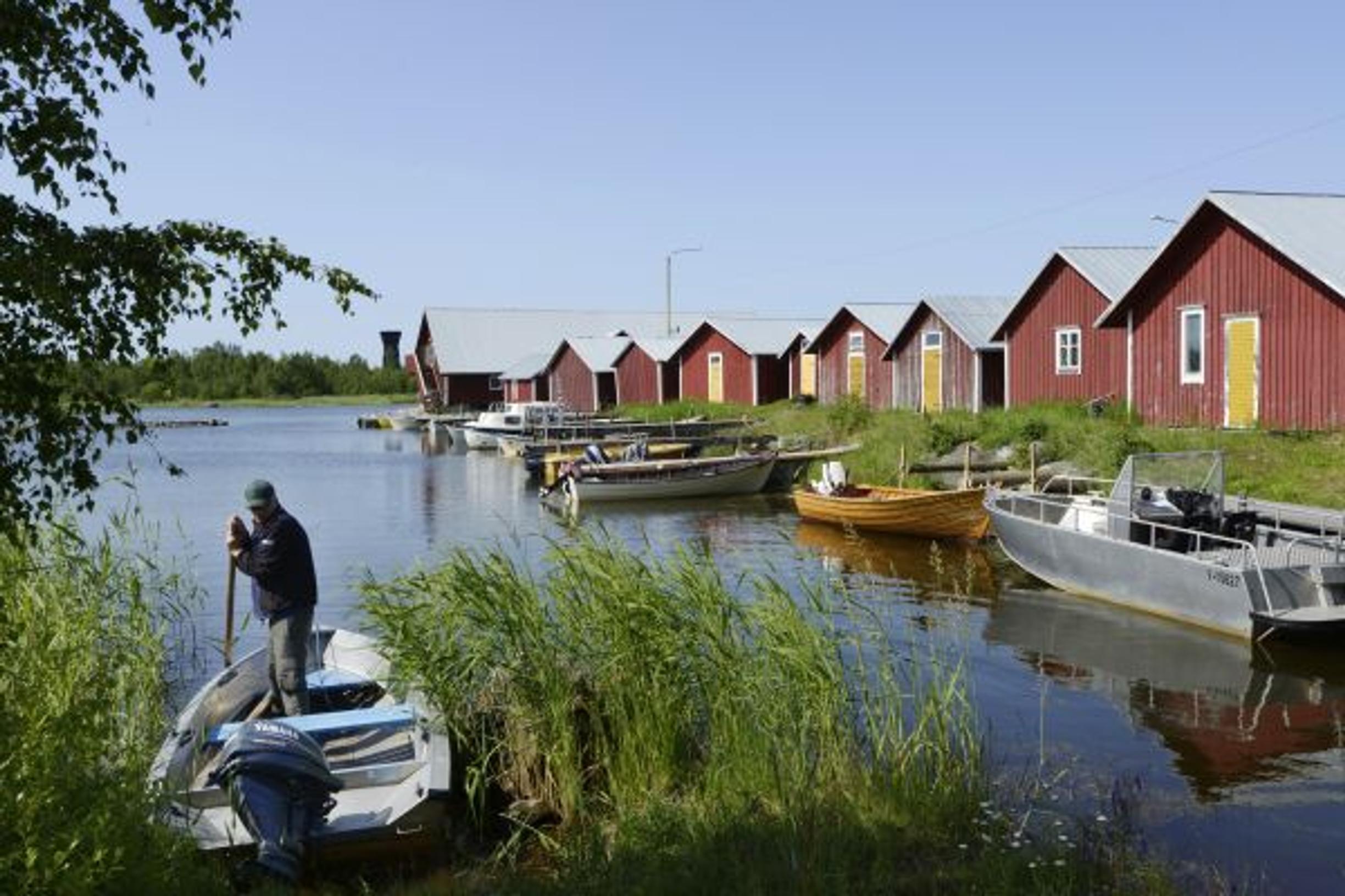 Ripeästi kohoava maa