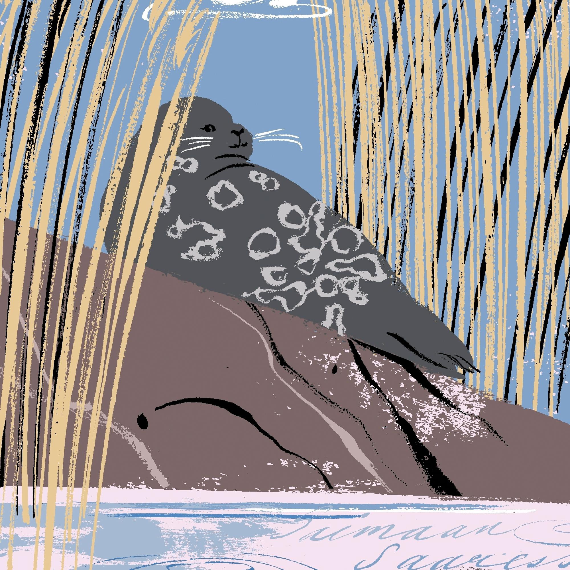 Aleksis Kivestä Junnu Vainioon: Monimuotoinen ja monimutkainen Saimaa tuotti päänvaivaa kartoittajille ja innoitusta kulttuuri-ihmisille