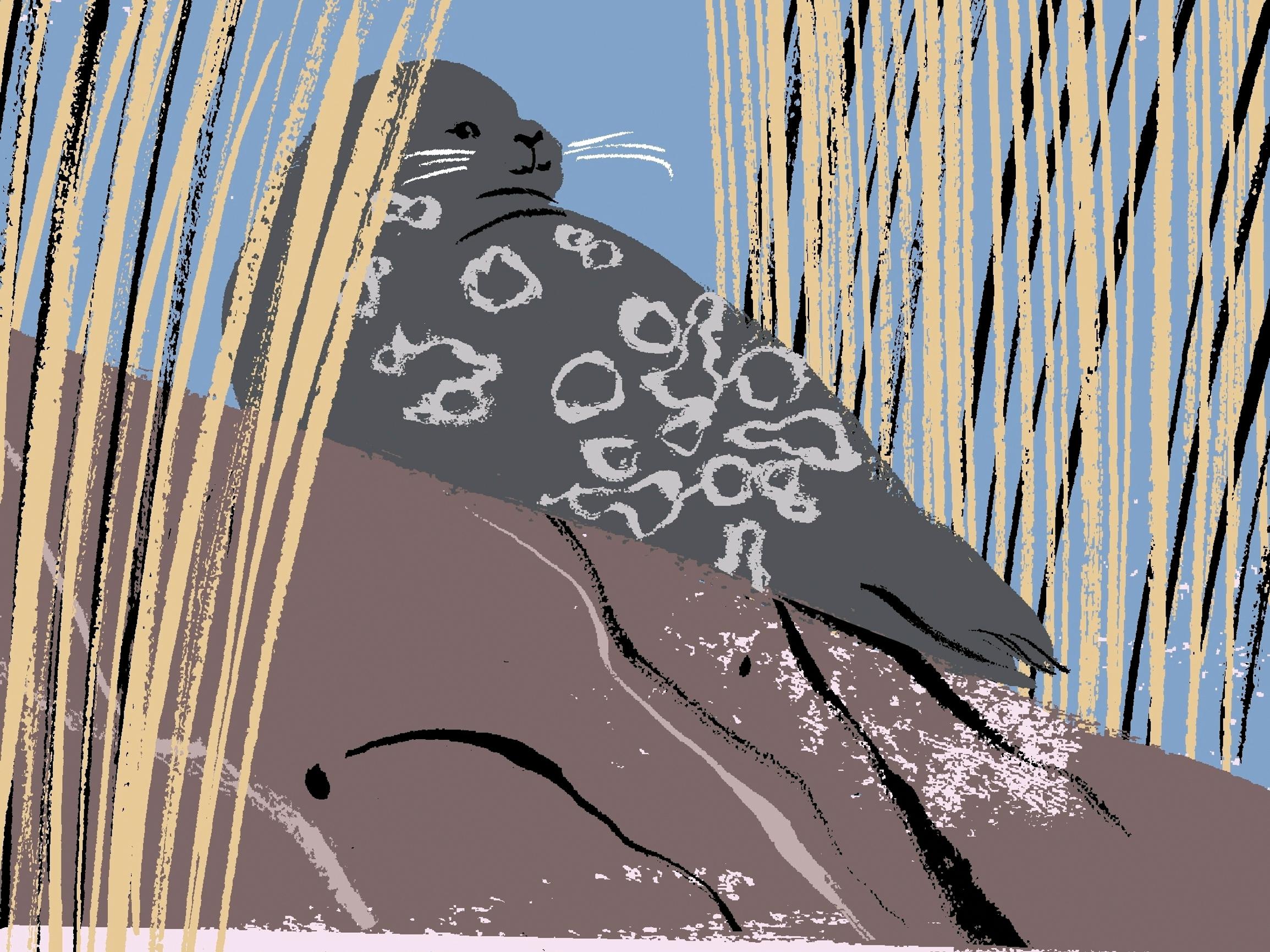 Aleksis Kivestä Junnu Vainioon: Monimuotoinen ja monimutkainen Saimaa tuotti päänvaivaa kartoittajille ja innoitusta kulttuuri-ihmisille