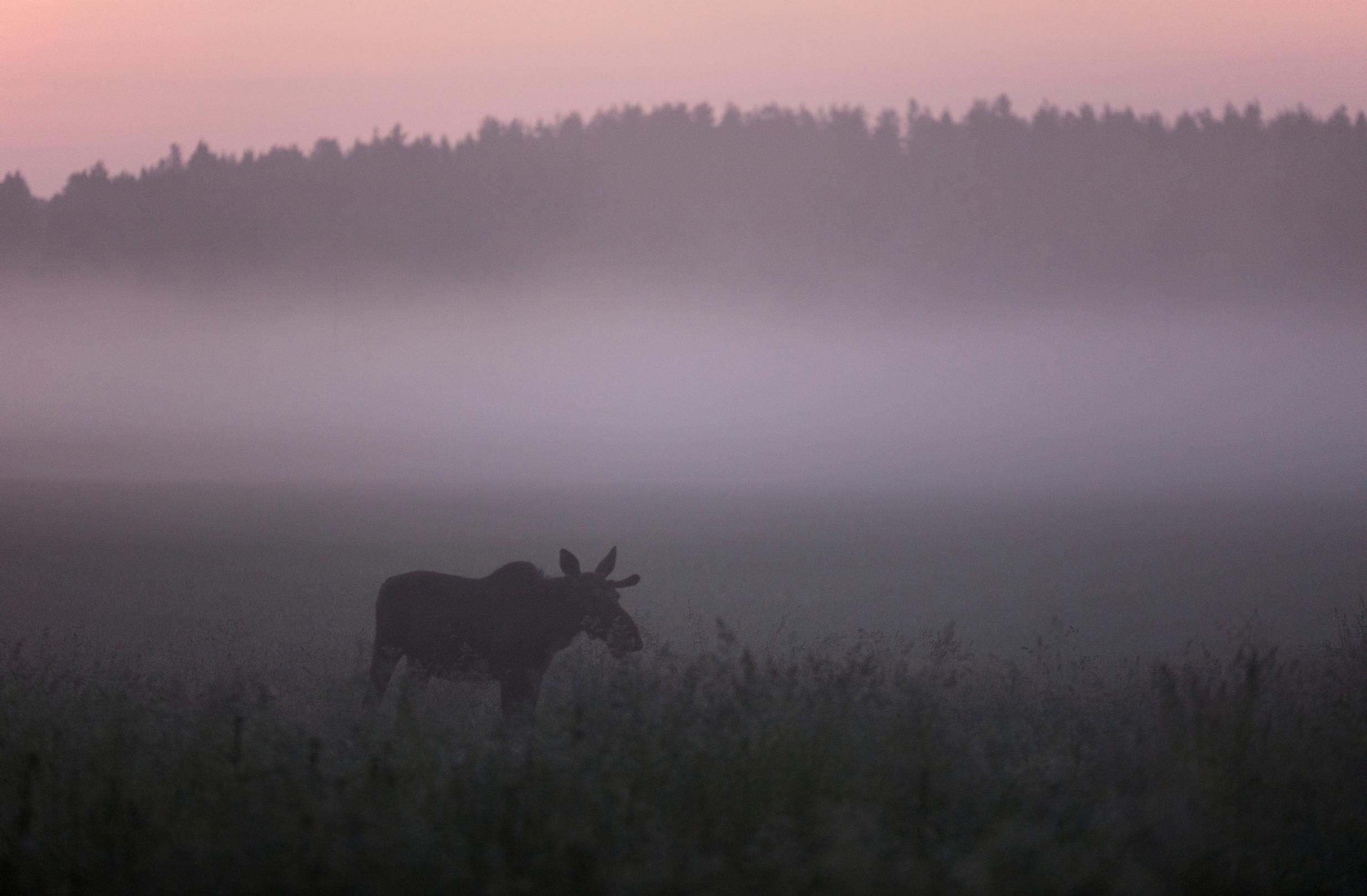 Marraskuu on liikenteessä vaarallista aikaa