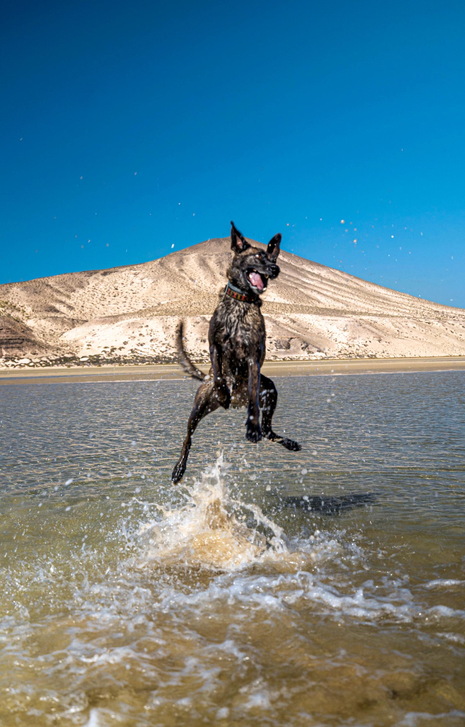 Fuerteventuran [Image] Sotaventon ranta-alue on mukava paikka ulkoilla. Vuorovesi luo siellä aina vähän aikaa näkyviä laguunejakin.