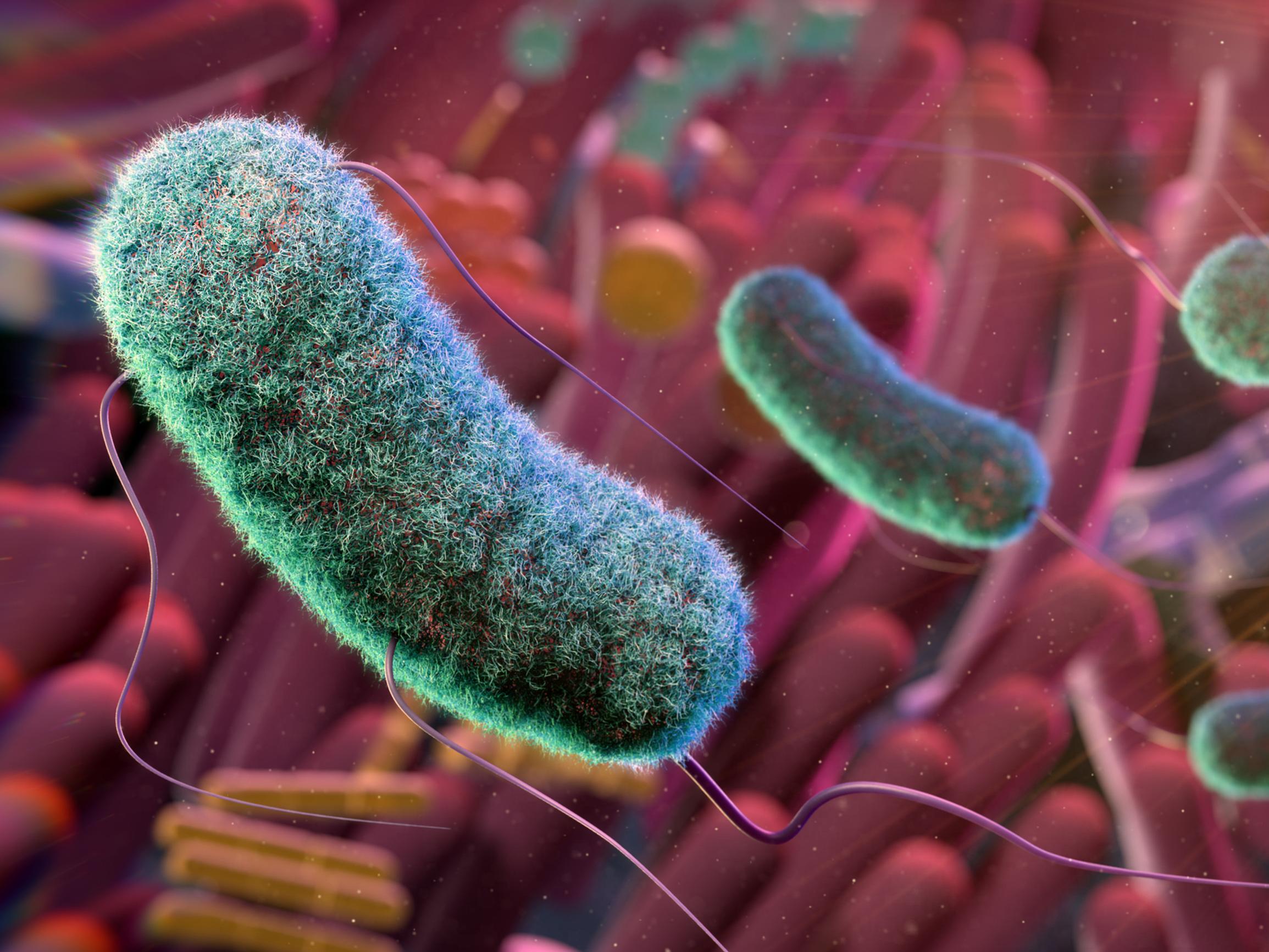 Yhä useampi kuolee pian bakteeri-infektioon – Koronan sairastaminen lisää sydänriskejä pitkään