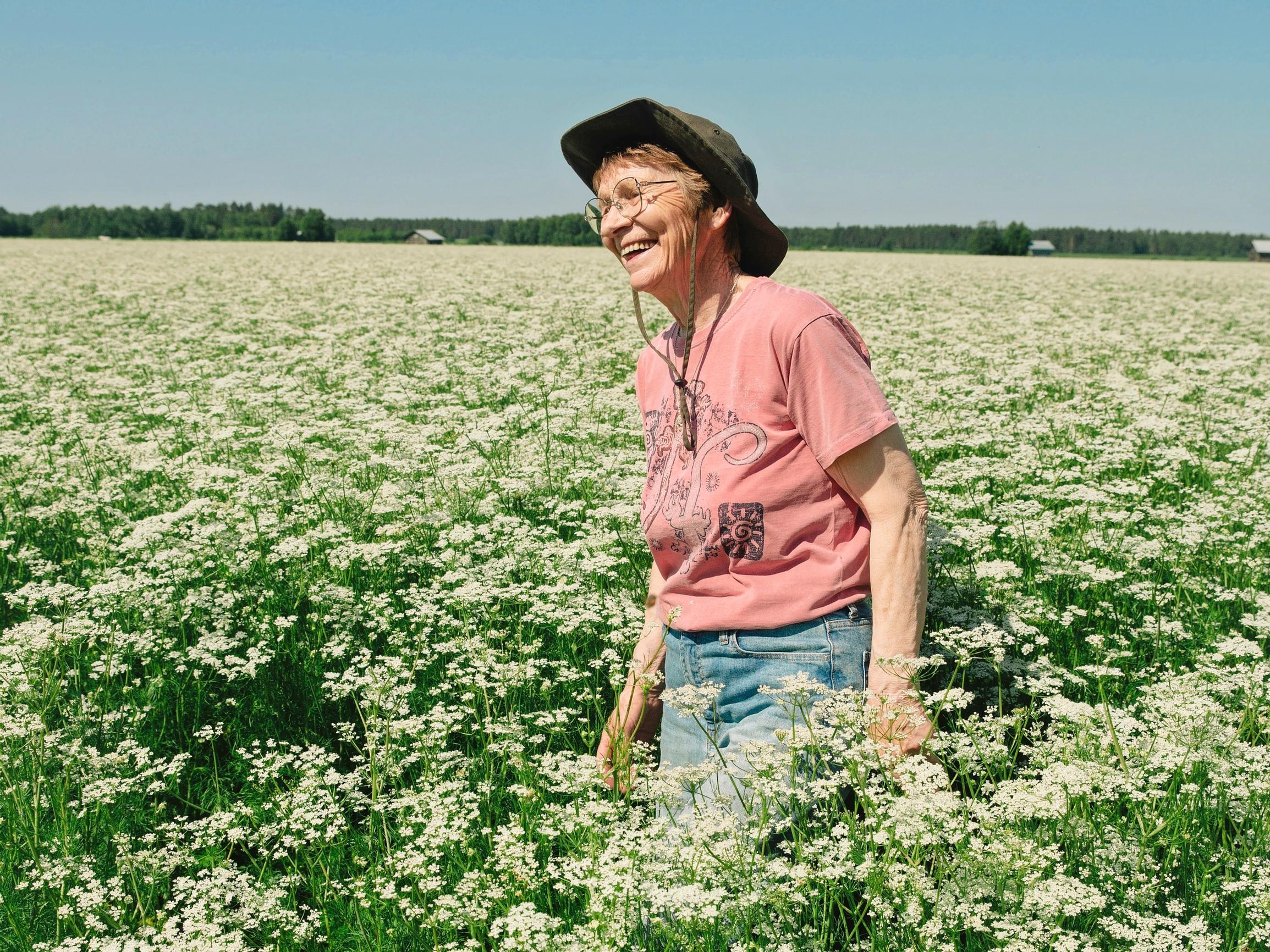 Hailuoto vetää nyt uusia asukkaita – Apu selvitti, mikä tekee Perämeren syrjäisestä saaresta niin suositun, ettei kaikille tulijoille löydy tilaa