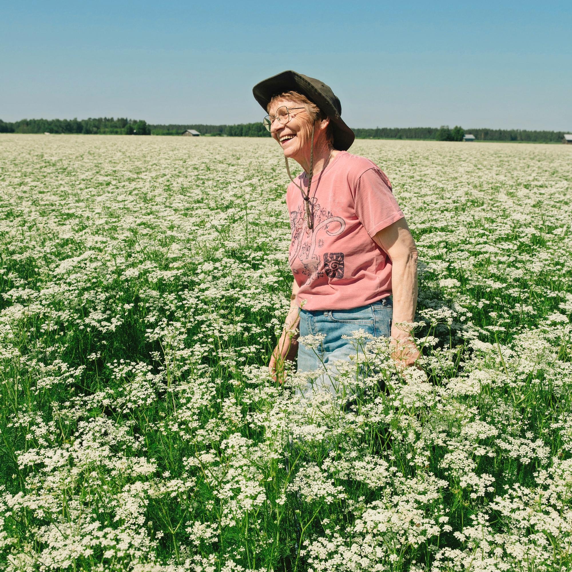 Hailuoto vetää nyt uusia asukkaita – Apu selvitti, mikä tekee Perämeren syrjäisestä saaresta niin suositun, ettei kaikille tulijoille löydy tilaa