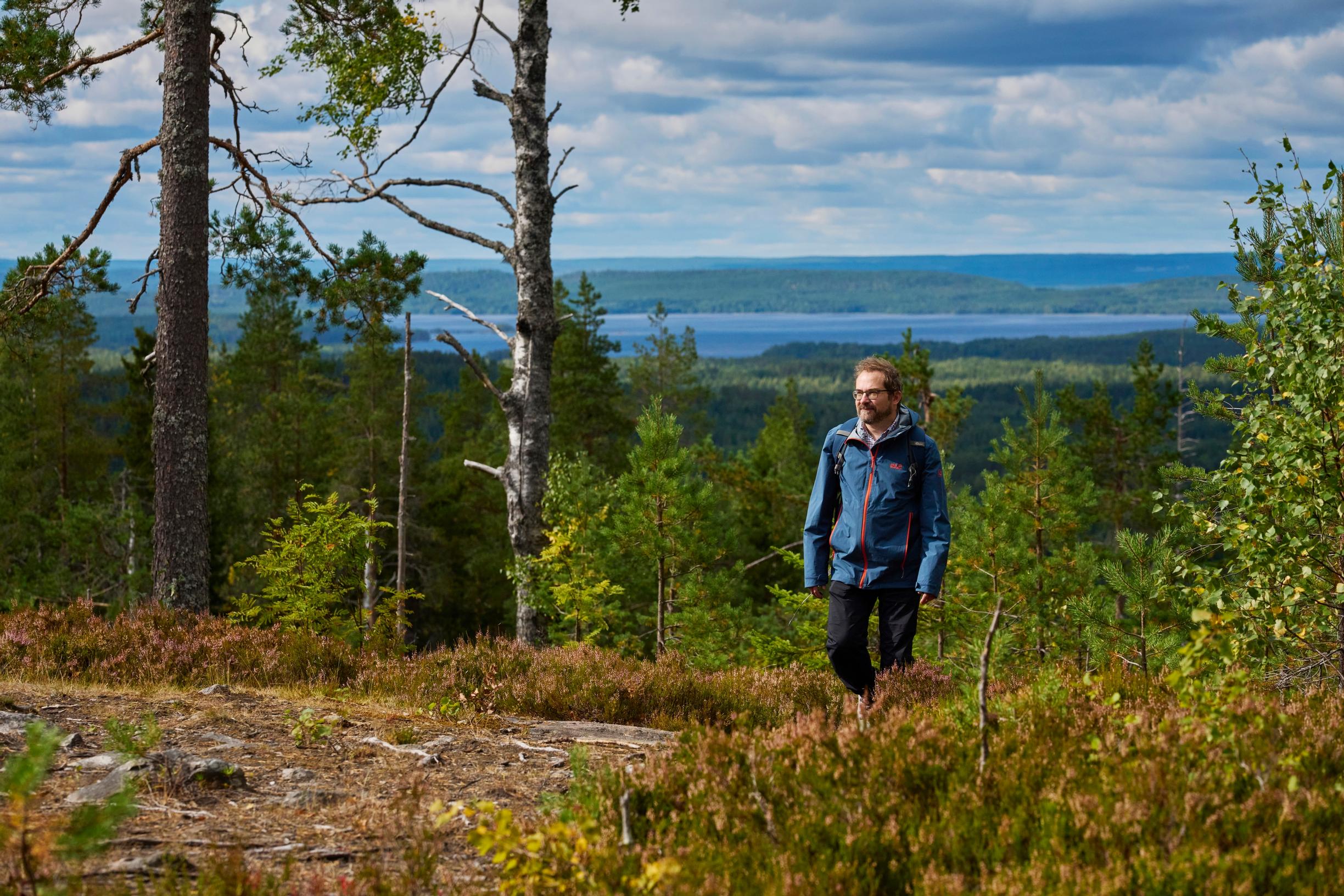 Ylä-Karjalassa testattiin valtavan rajua metsänhoitoa, josta piti tulla käytäntö koko Suomeen – Nurmes-suunnitelman loppu oli nolo
