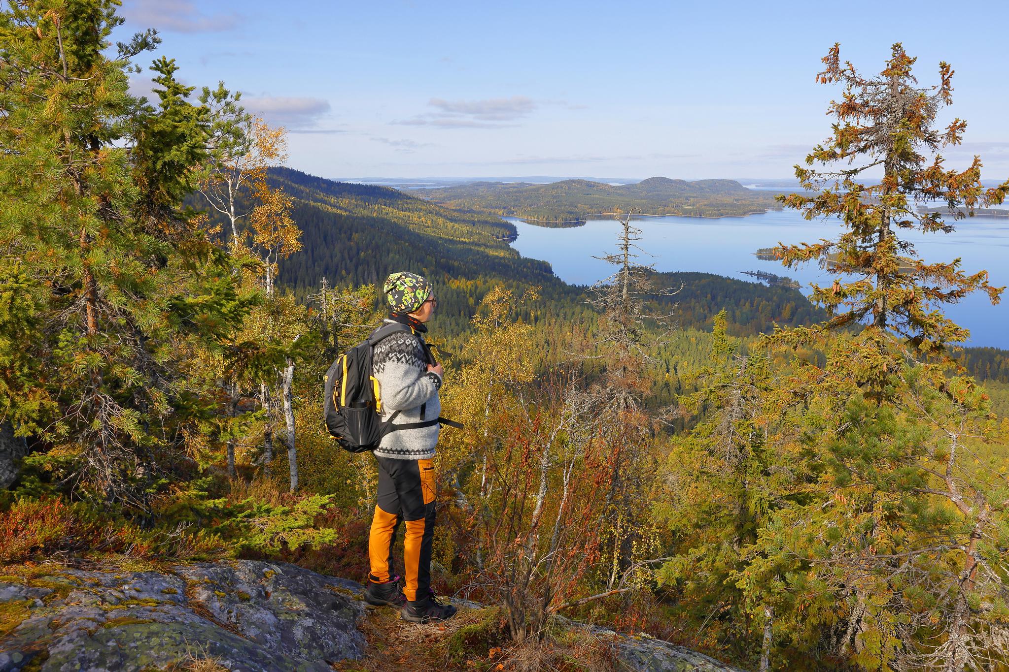 Metsä työllistää 60 000 | Näin metsätalous muutti Suomen | Apu