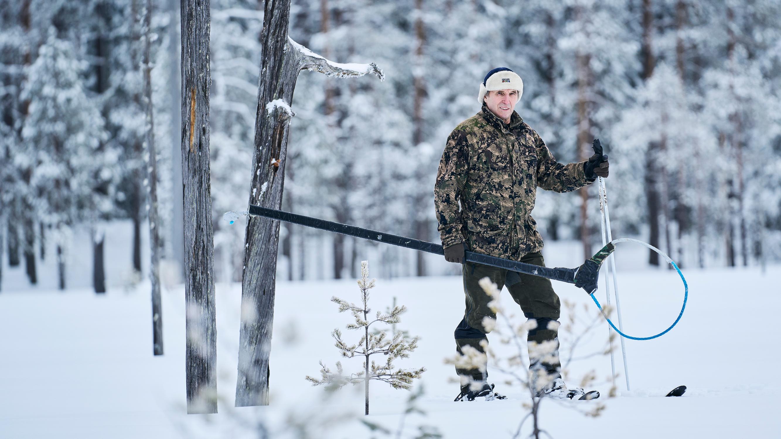 Seppo Ronkainen on ottanut suden kiinni käytännössä paljain käsin ja nähnyt, kuinka mahdollisesti myrkkyä syönyt susi kärsi – ”Luulin, että se kuolee siihen”