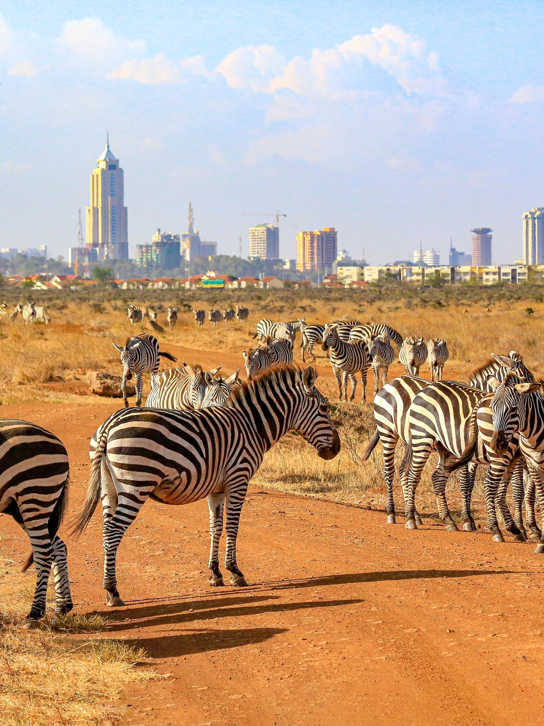 Nairobi yllättää kulttuurillaan ja luontokohteillaan: kerromme vinkit Afrikan-matkailun suureen keskukseen