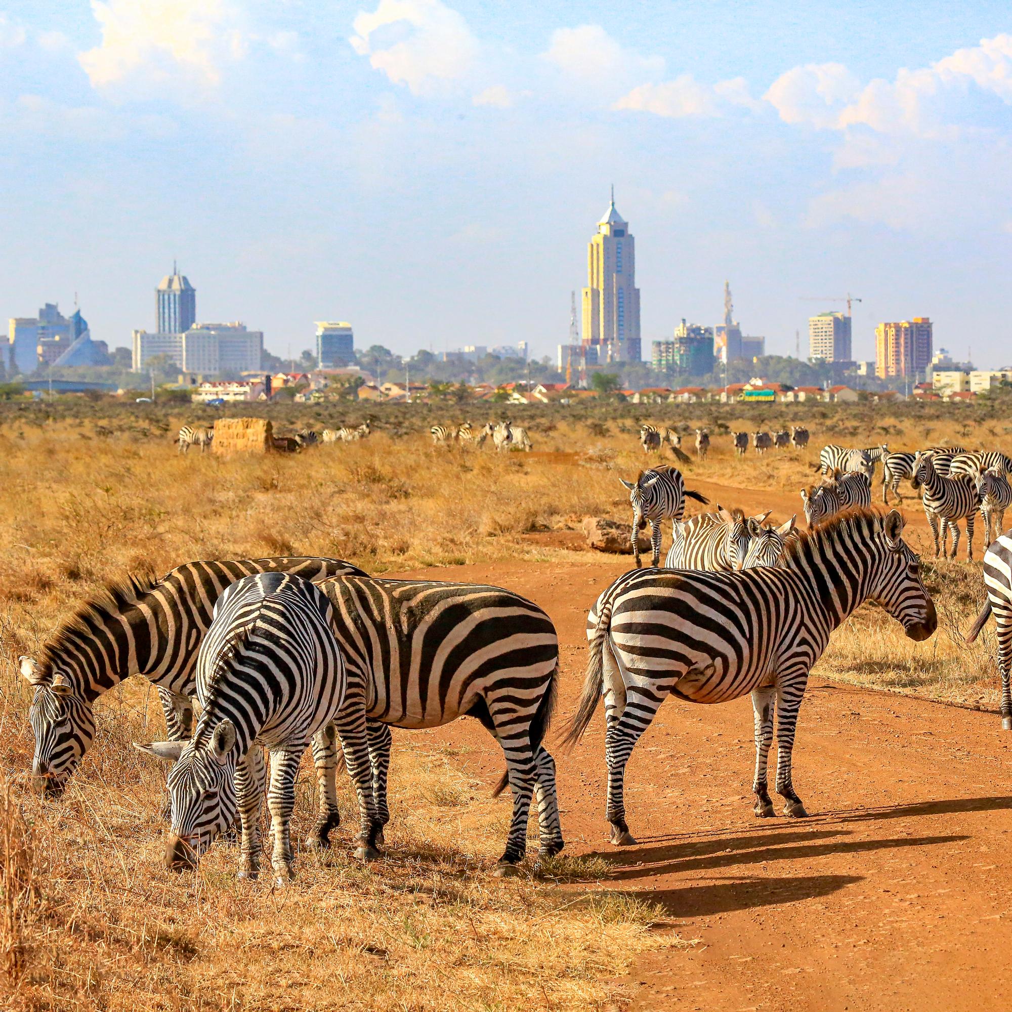 Nairobi yllättää kulttuurillaan ja luontokohteillaan: kerromme vinkit Afrikan-matkailun suureen keskukseen
