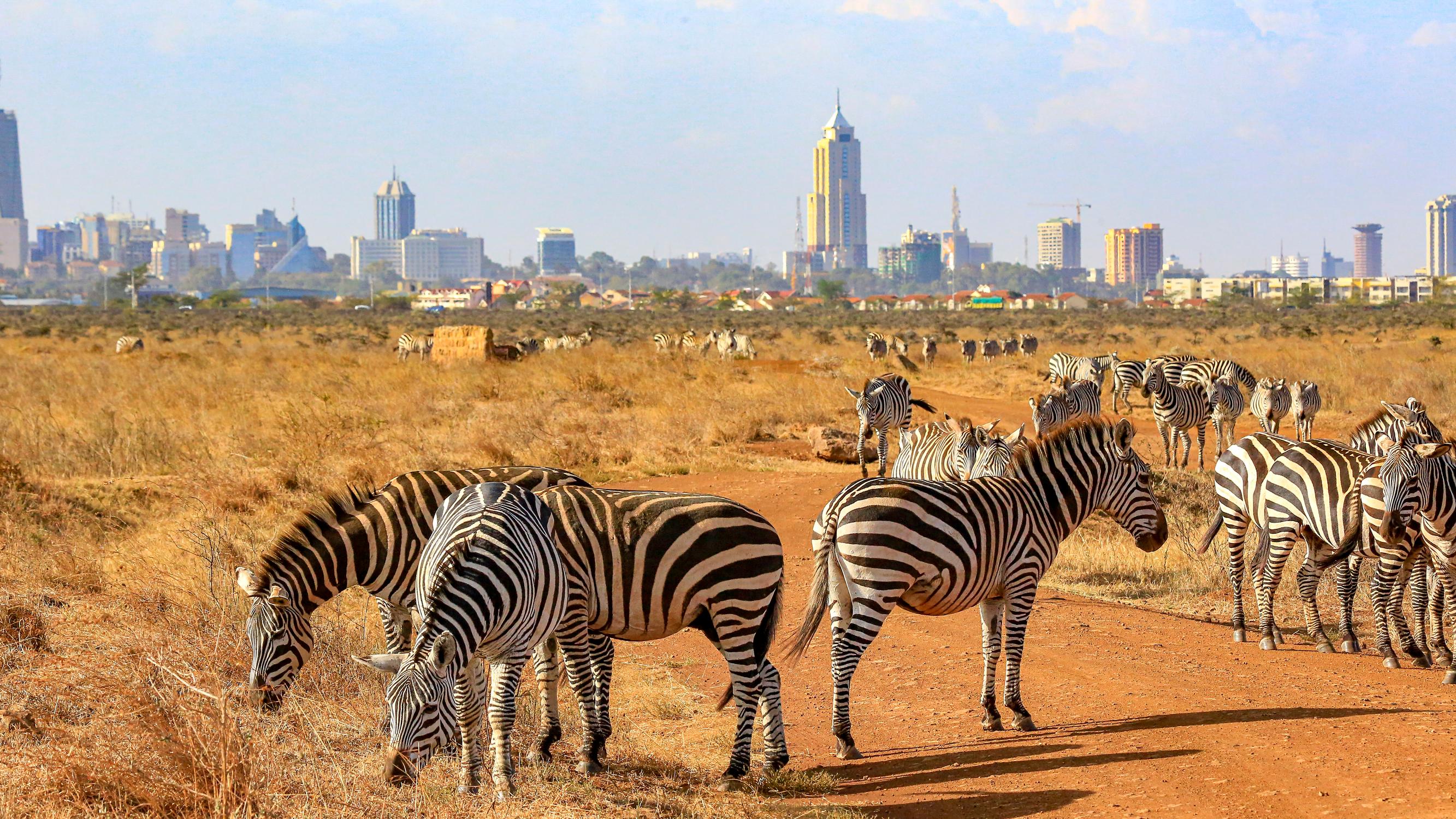 Nairobi yllättää kulttuurillaan ja luontokohteillaan: kerromme vinkit Afrikan-matkailun suureen keskukseen