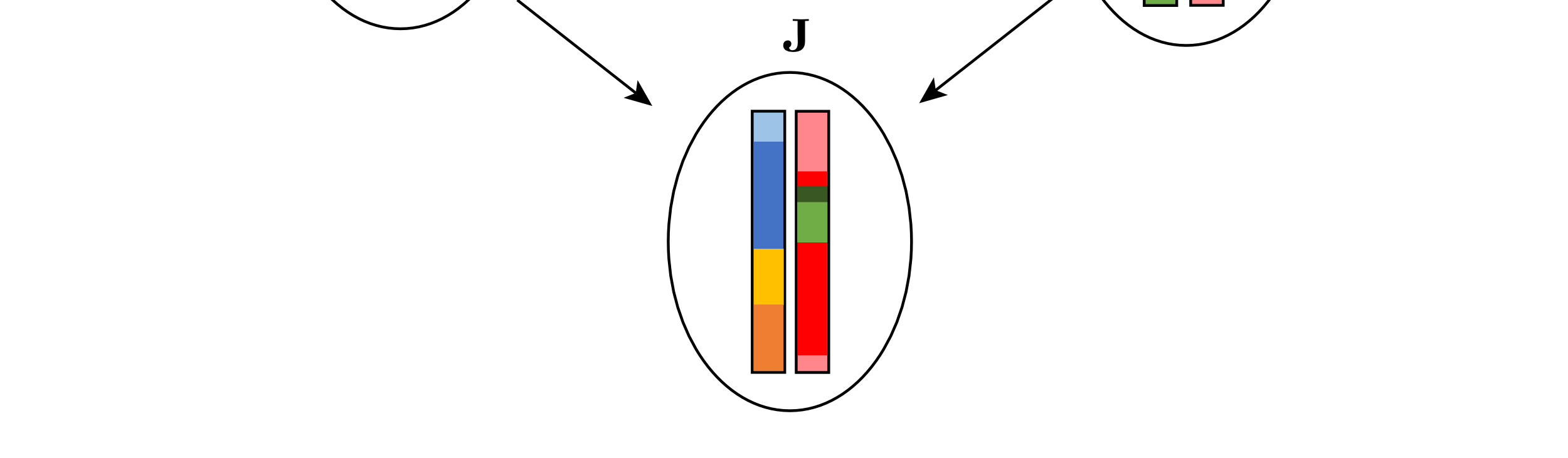 Vastaavasti uudelleenjärjestelyn tuloksena jälkeläinen J perii vanhemmalta V genomin, jossa on pätkiä kaikista neljästä isovanhempien I1 ja I2 genomista. 