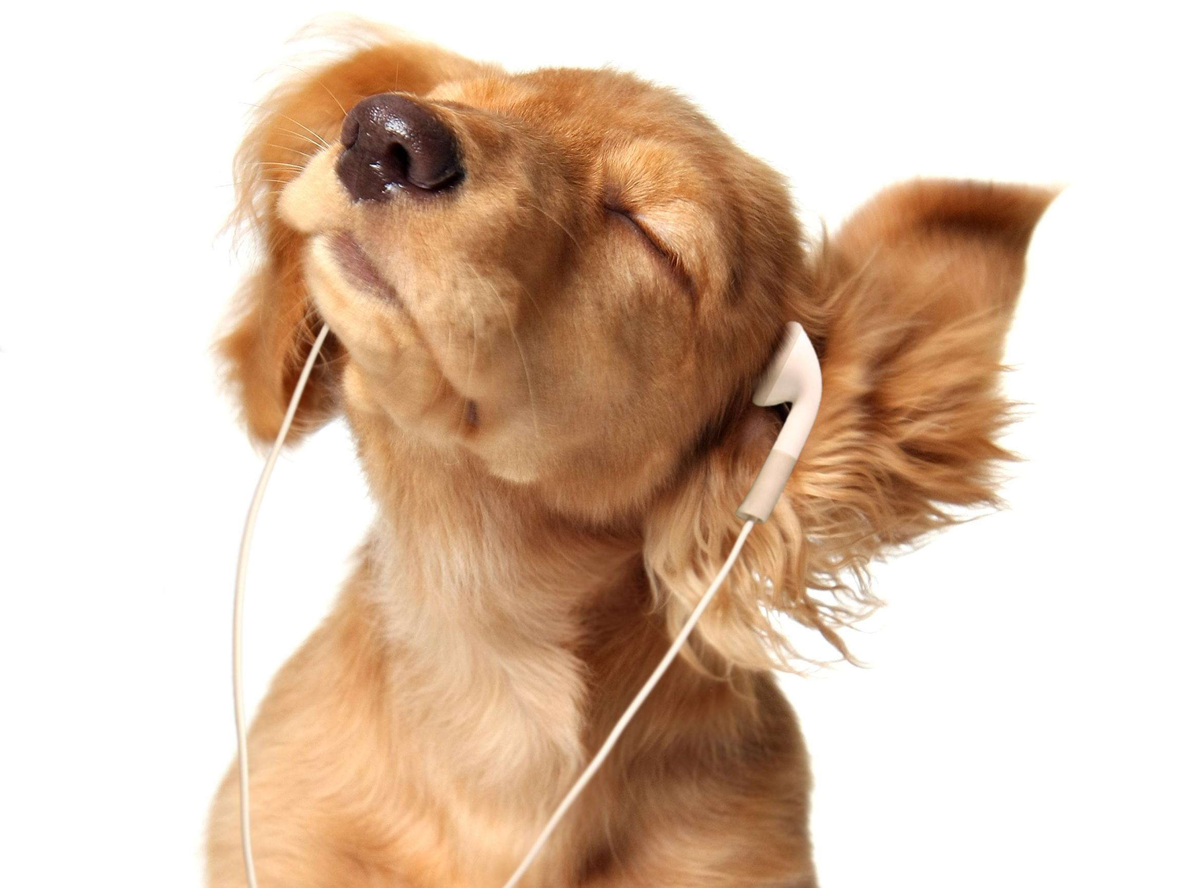 Mikä kappale ylitti elokuussa 2025 ensimmäisenä viiden miljardin Spotify-kuuntelukerran rajan?