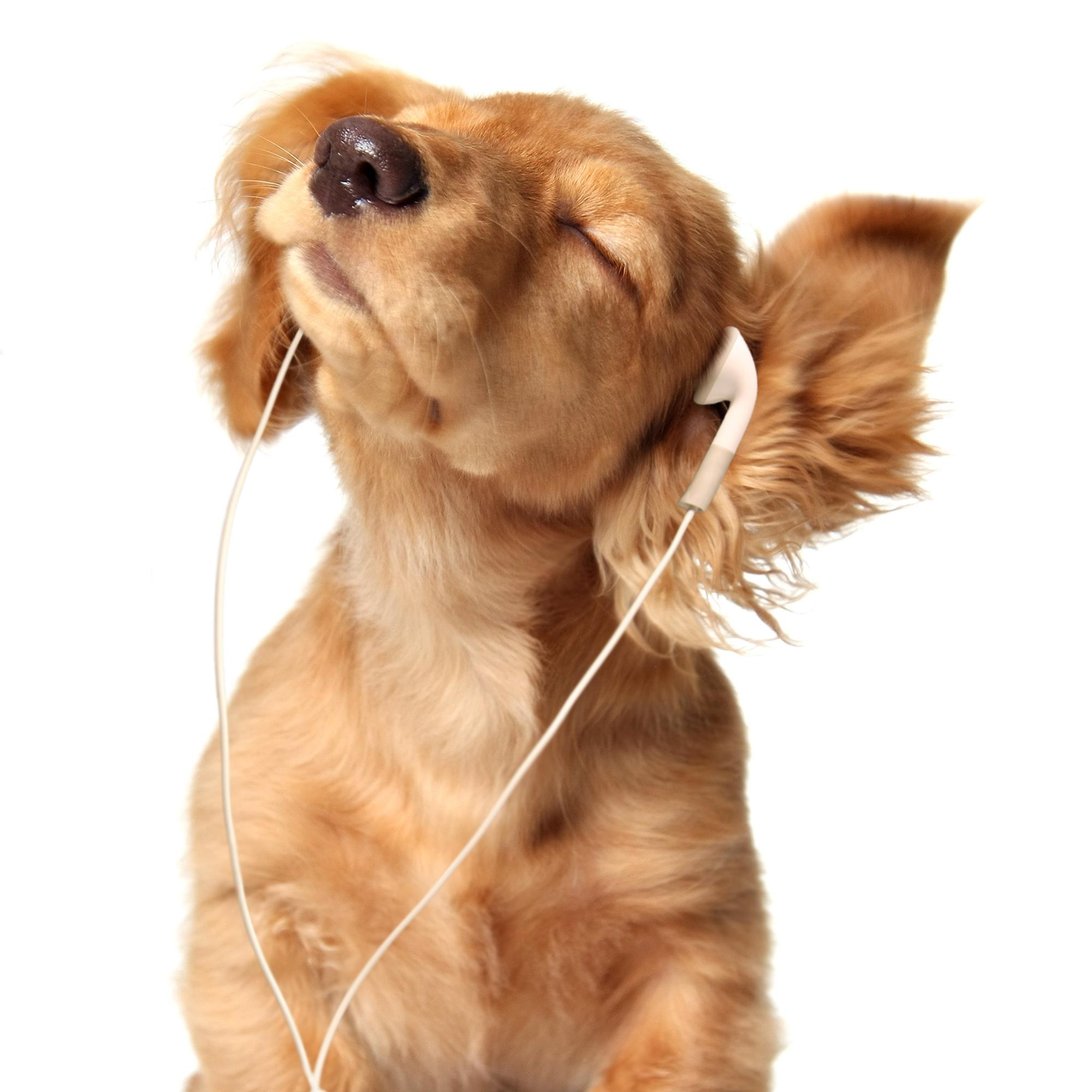 Mikä kappale ylitti elokuussa 2025 ensimmäisenä viiden miljardin Spotify-kuuntelukerran rajan?