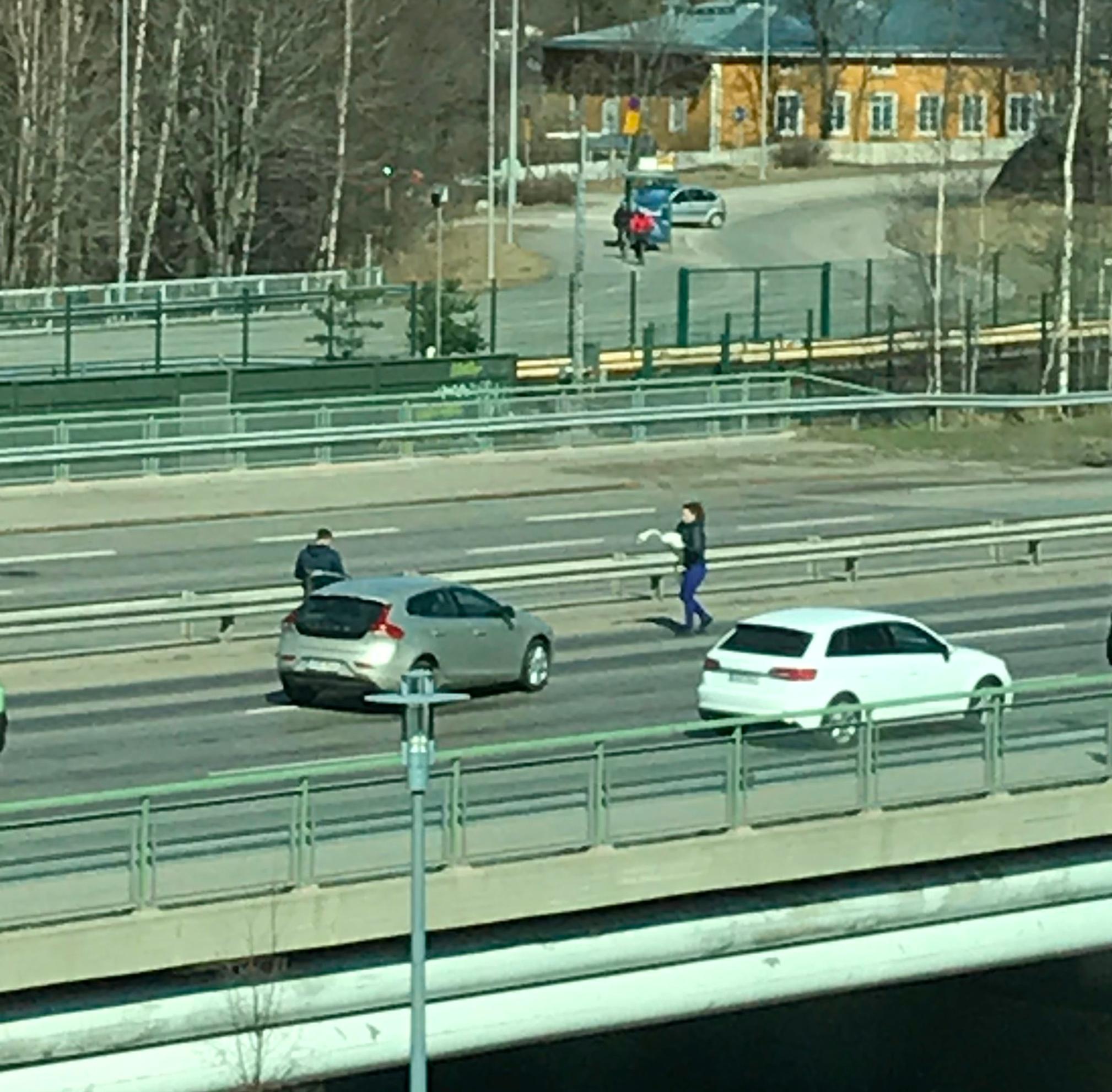 Uskomaton sankariteko Itäväylällä: töihin matkalla ollut Henna pelasti loukkaantuneen joutsenen liikenteen keskeltä - "Toivottavasti työpaikka säilyy" - kuvat
