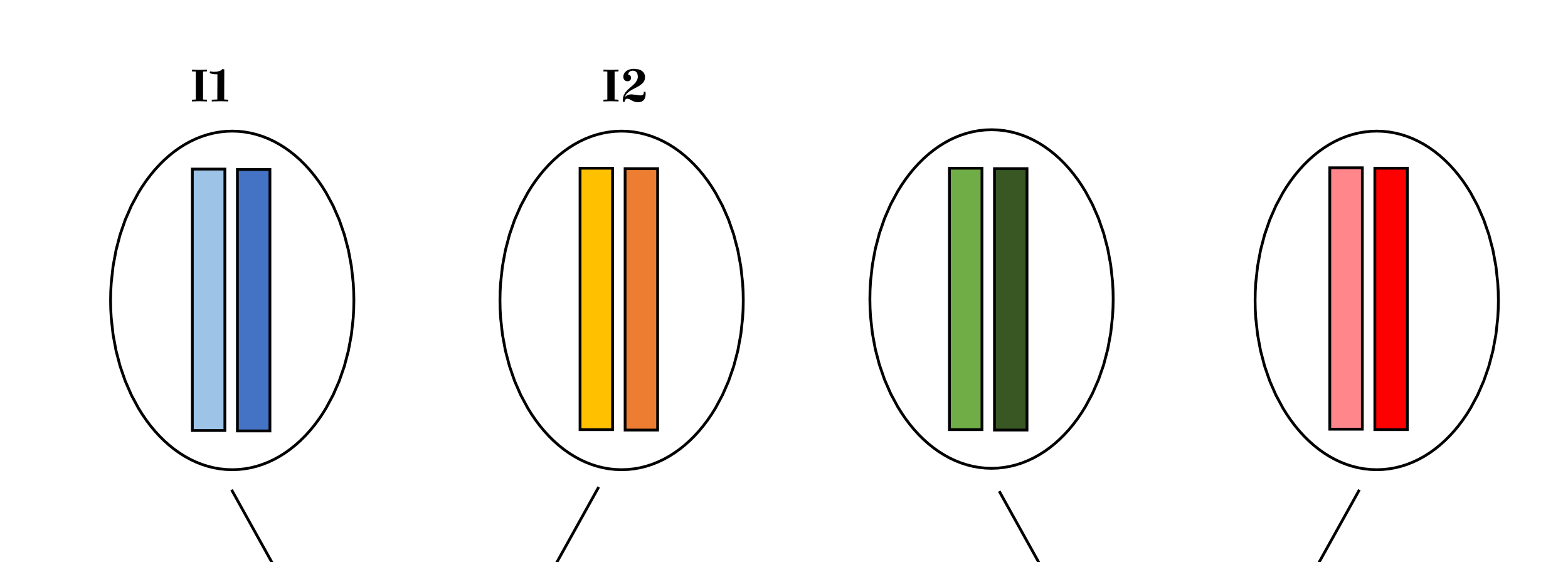 Isovanhempien kukin genomi on väritetty omalla värillään. 