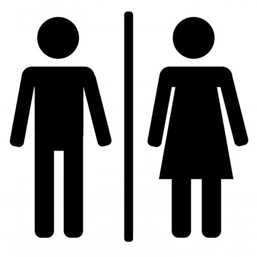 Are you male or female. Male or female. Женский пол человек. Информационная безопасность диаграмма. What gender are you.
