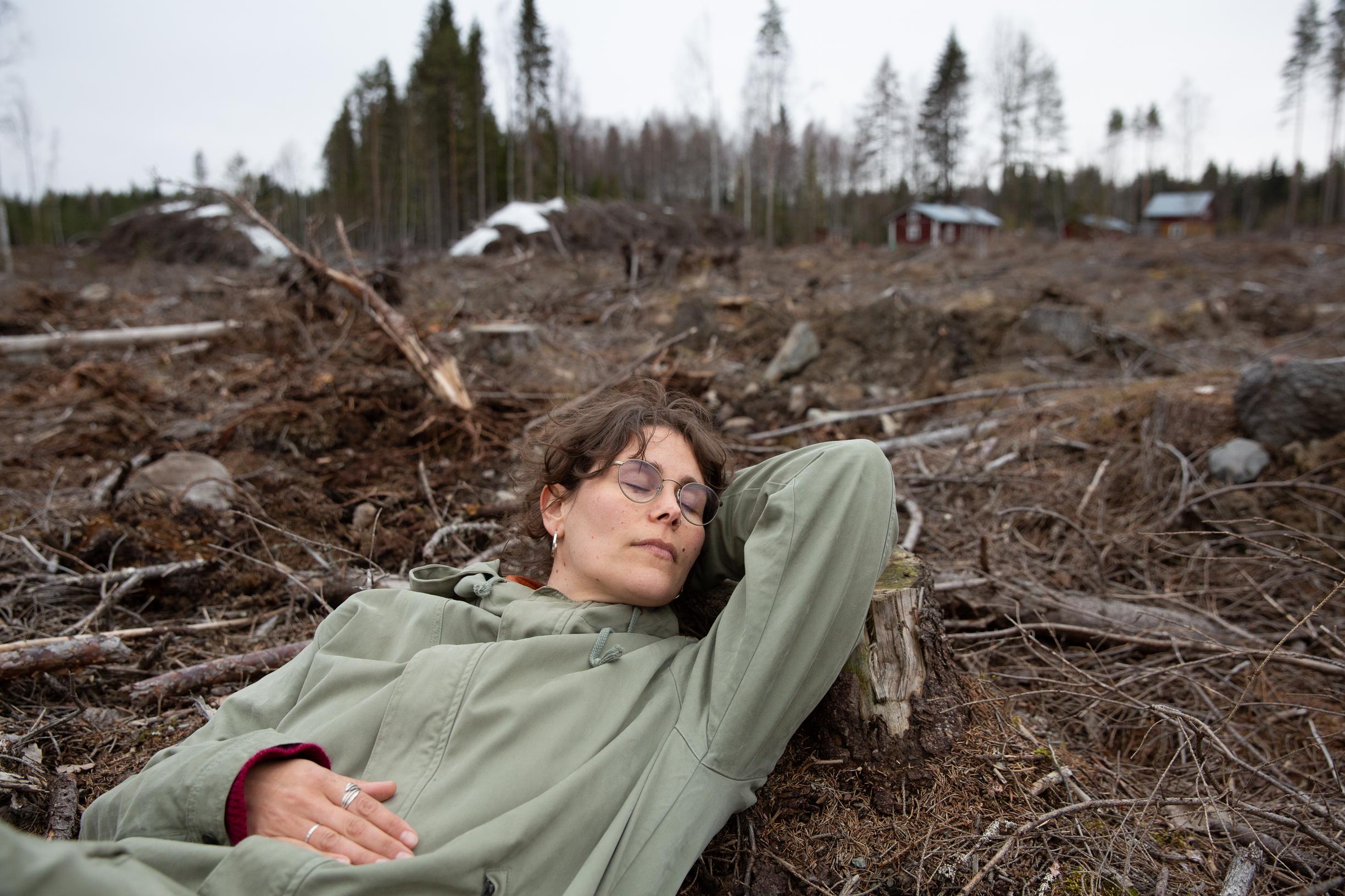 Nyt myös metsän pohja on enimmäkseen hävinnyt hakkuissa.