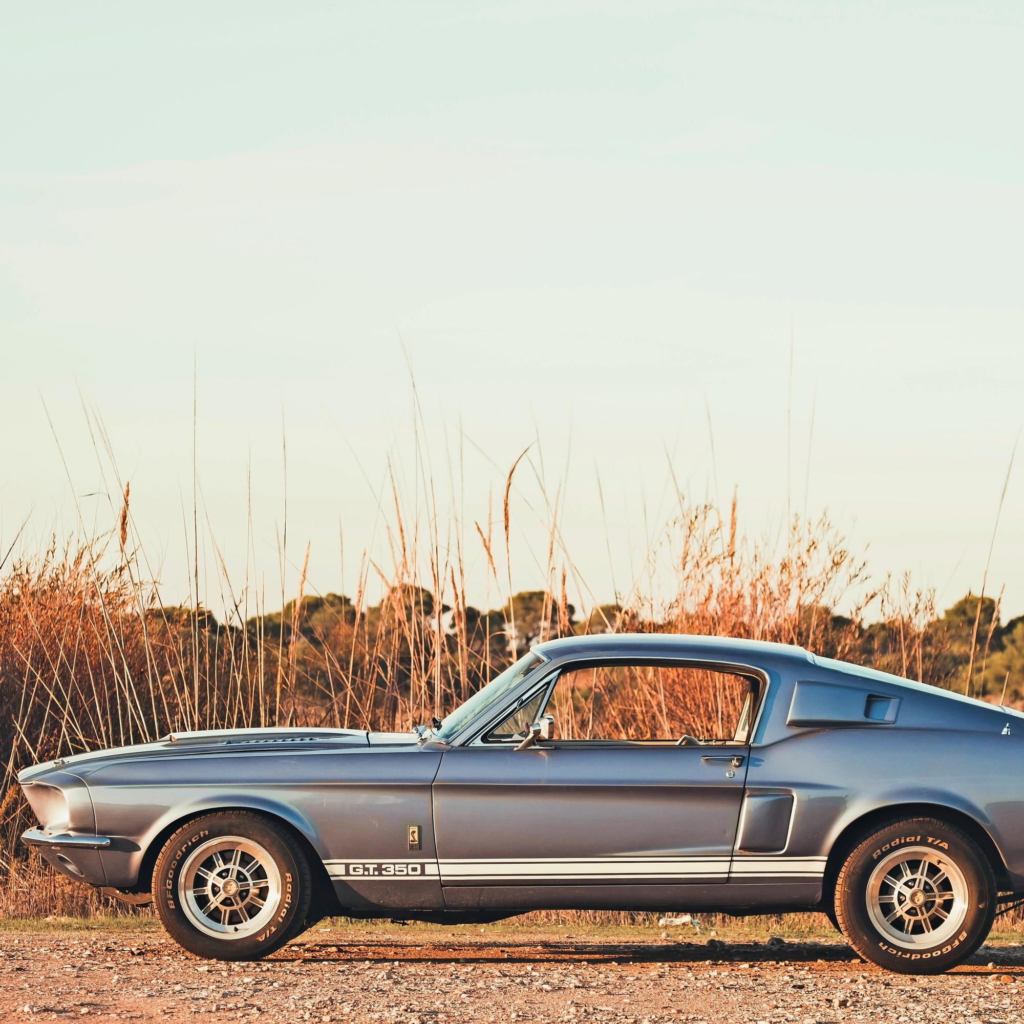 Ford Mustang, GT40 vai Ranger – Millä näistä Fordin klassikkomalleista kaasuttaisit kohti kesää? 