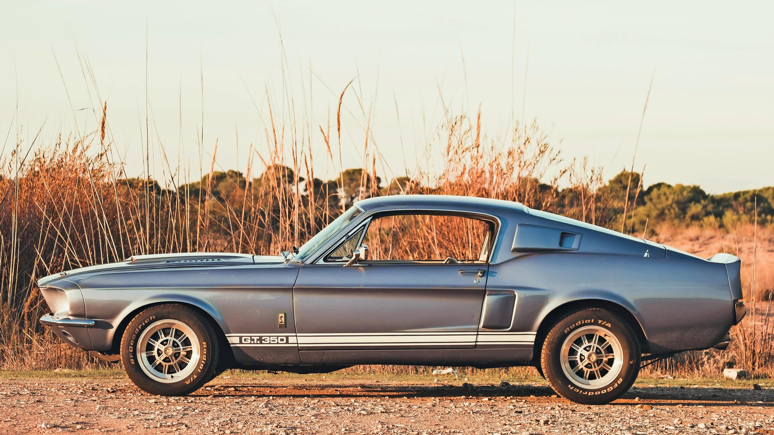 Ford Mustang, GT40 vai Ranger – Millä näistä Fordin klassikkomalleista kaasuttaisit kohti kesää? 