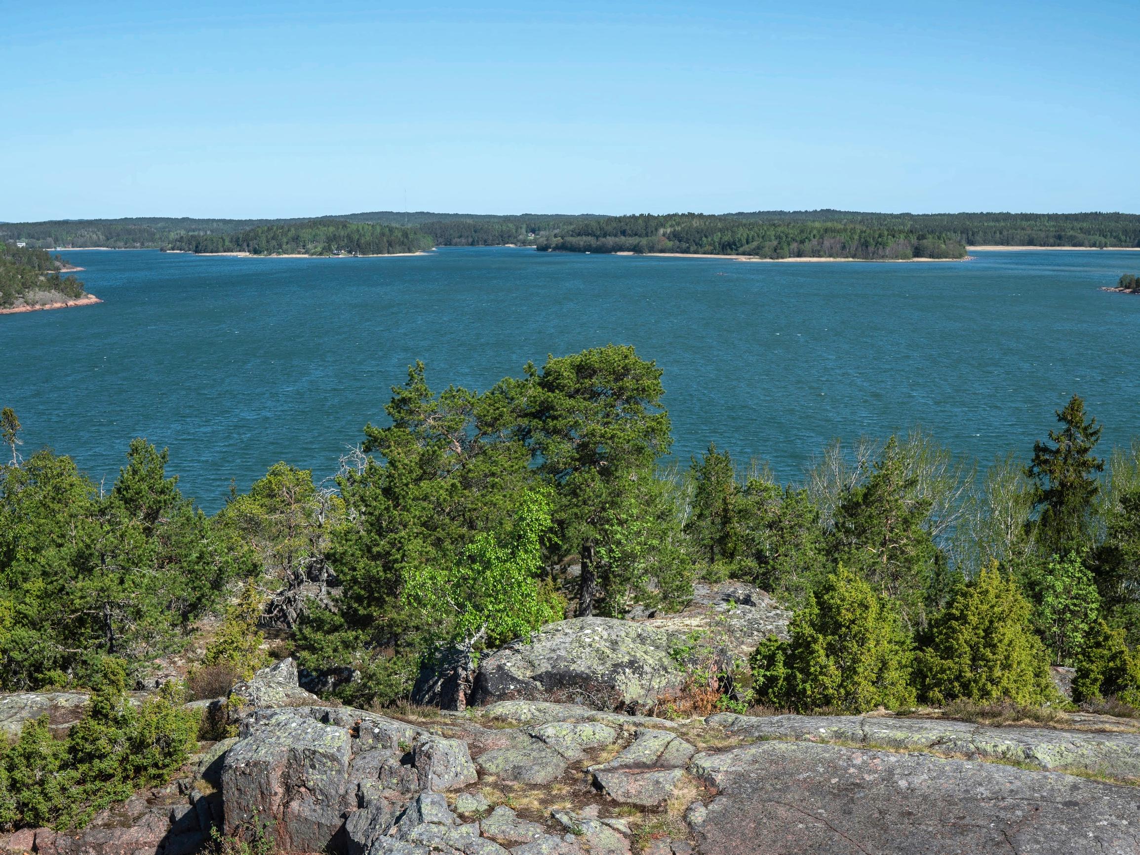 Hälyttävä havainto Saaristomeren tilasta: Viime talven ravinnekuorma ennätyssuuri – Näin solubiologian professori ratkaisisi ongelman: 3 askelta