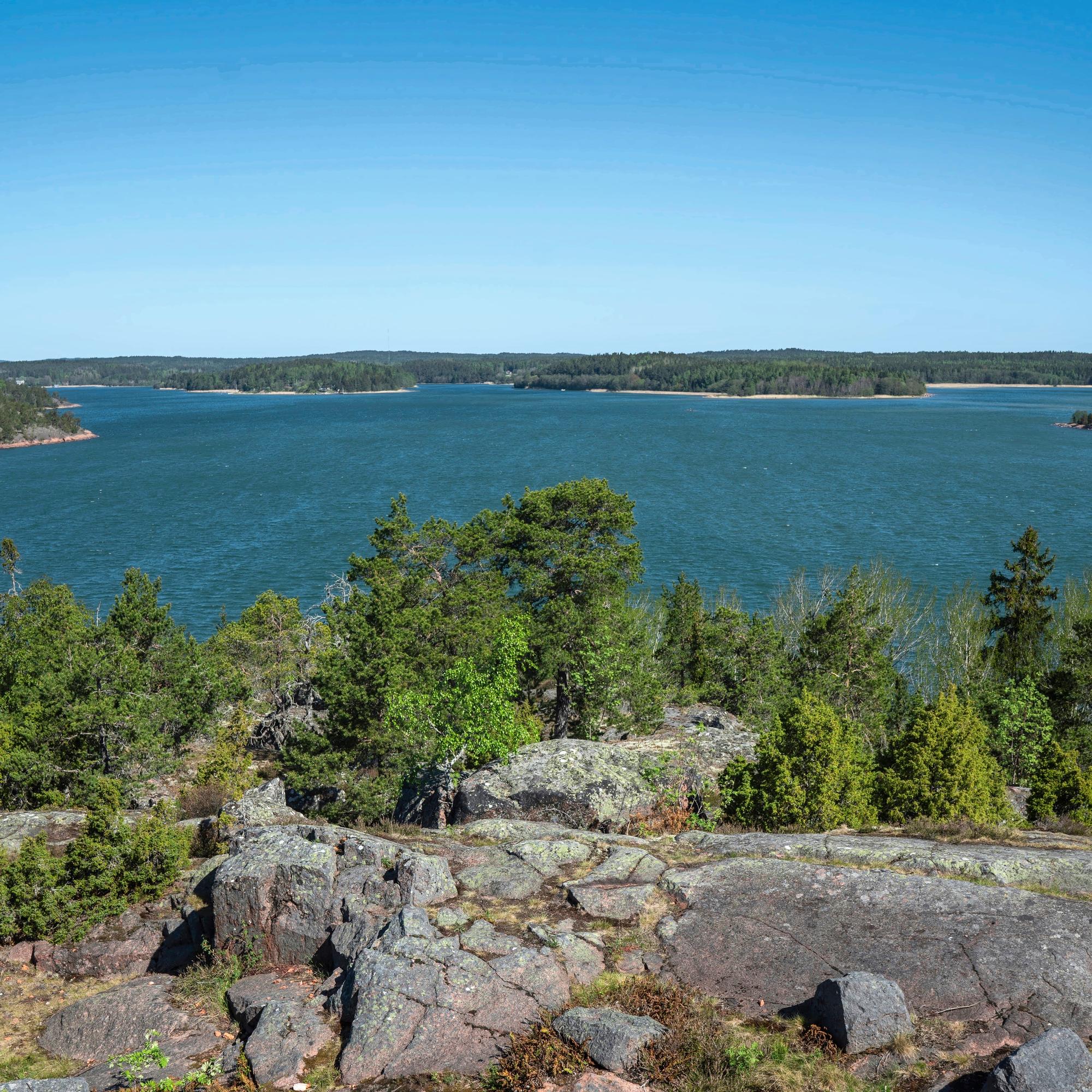 Hälyttävä havainto Saaristomeren tilasta: Viime talven ravinnekuorma ennätyssuuri – Näin solubiologian professori ratkaisisi ongelman: 3 askelta