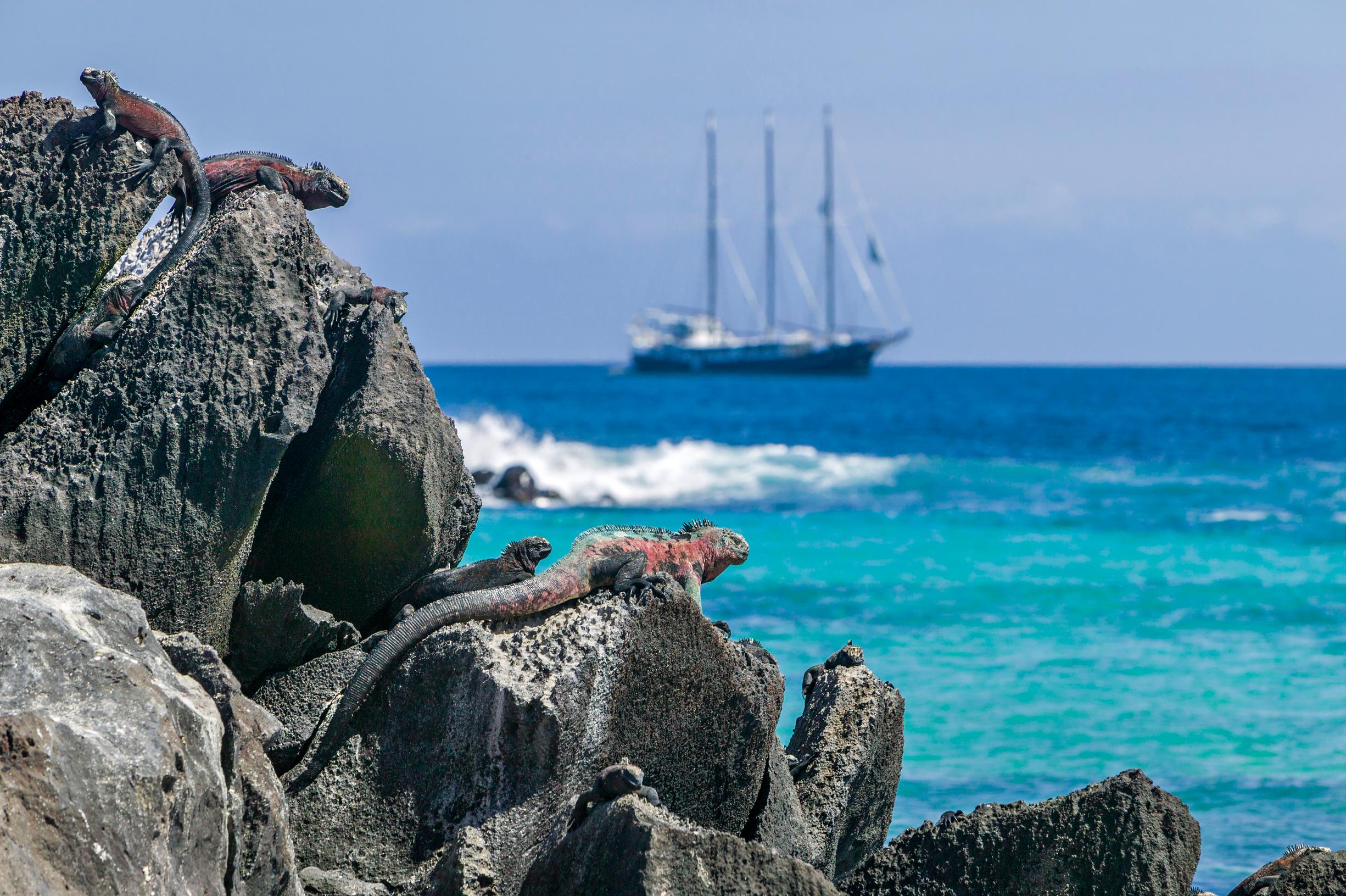Upeat risteilyt: Galapagossaaret, Ecuador.