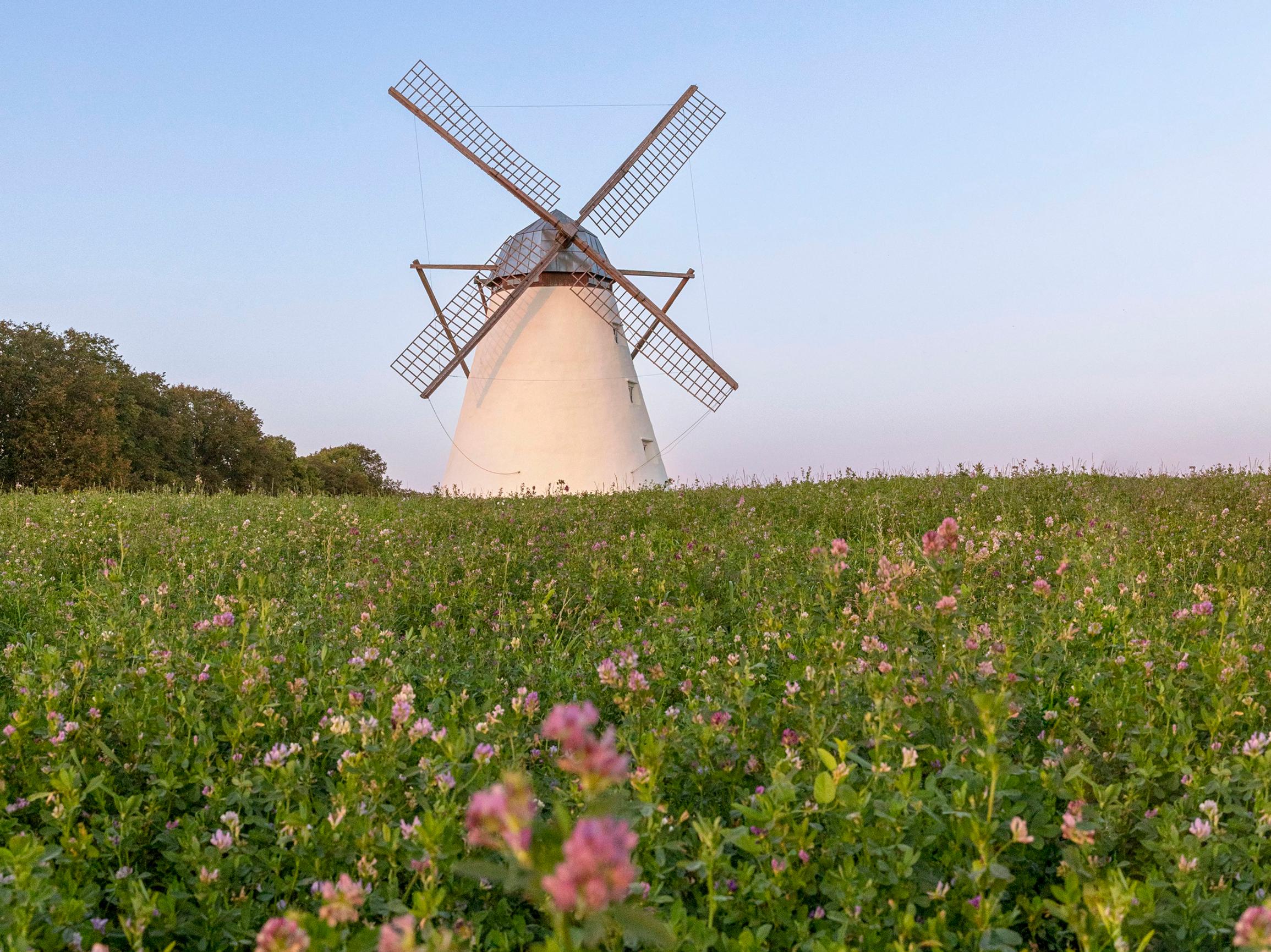 Etsitkö retkikohdetta Virosta? Lahemaan kansallispuisto tarjoaa luontoa, kalastajakyliä, kartanoita ja neuvostoraunioita
