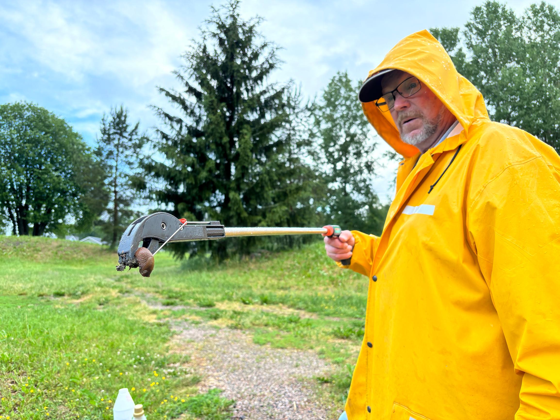 Riihimäkeläinen Mauri Laakkonen on espanjansiruetanoiden pahin painajainen – 998 etanaa purkkiin neljässä tunnissa