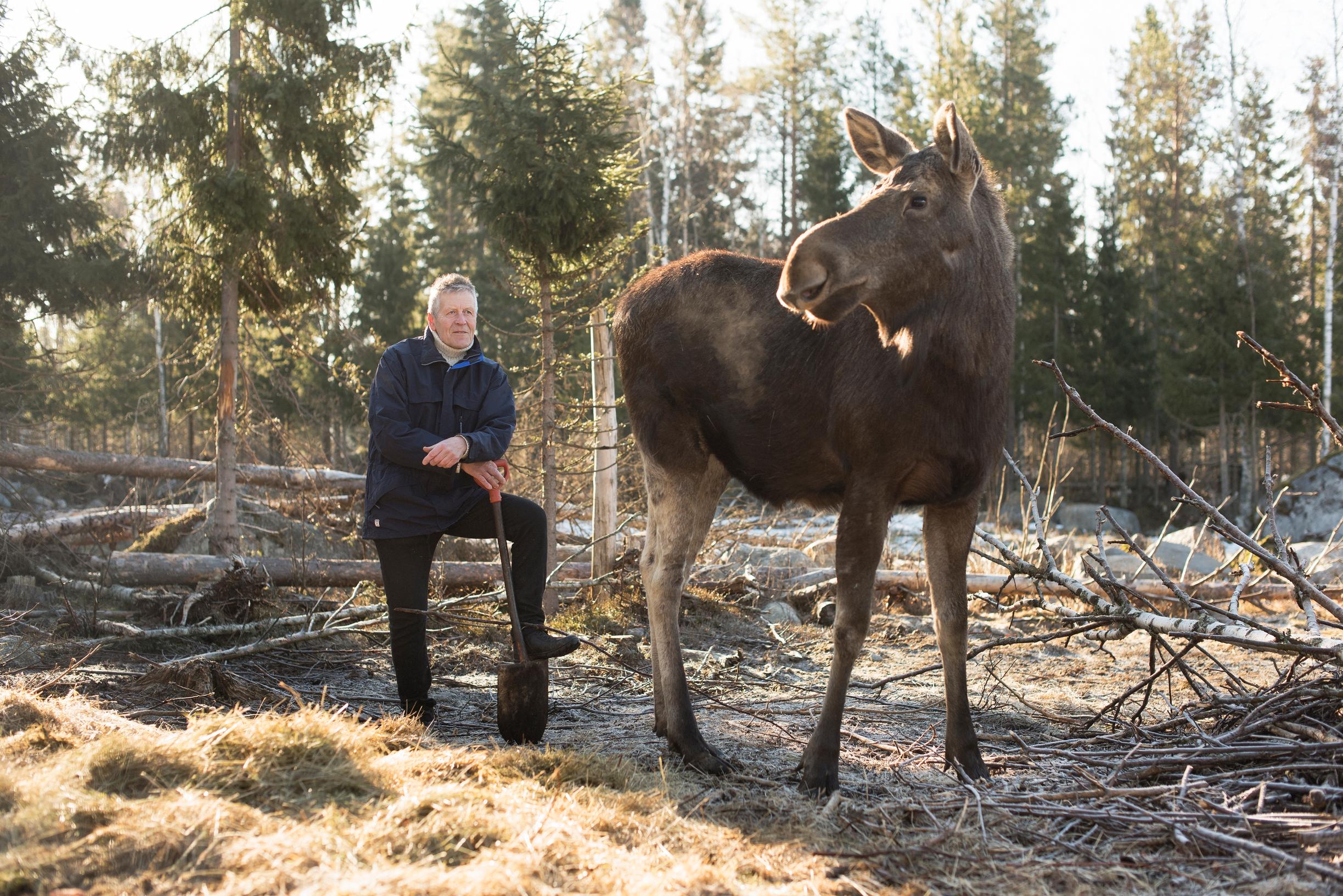 Markku Harju hylkäsi uransa ja hoitaa nyt loukkaantuneita villieläimiä kotiseudullaan