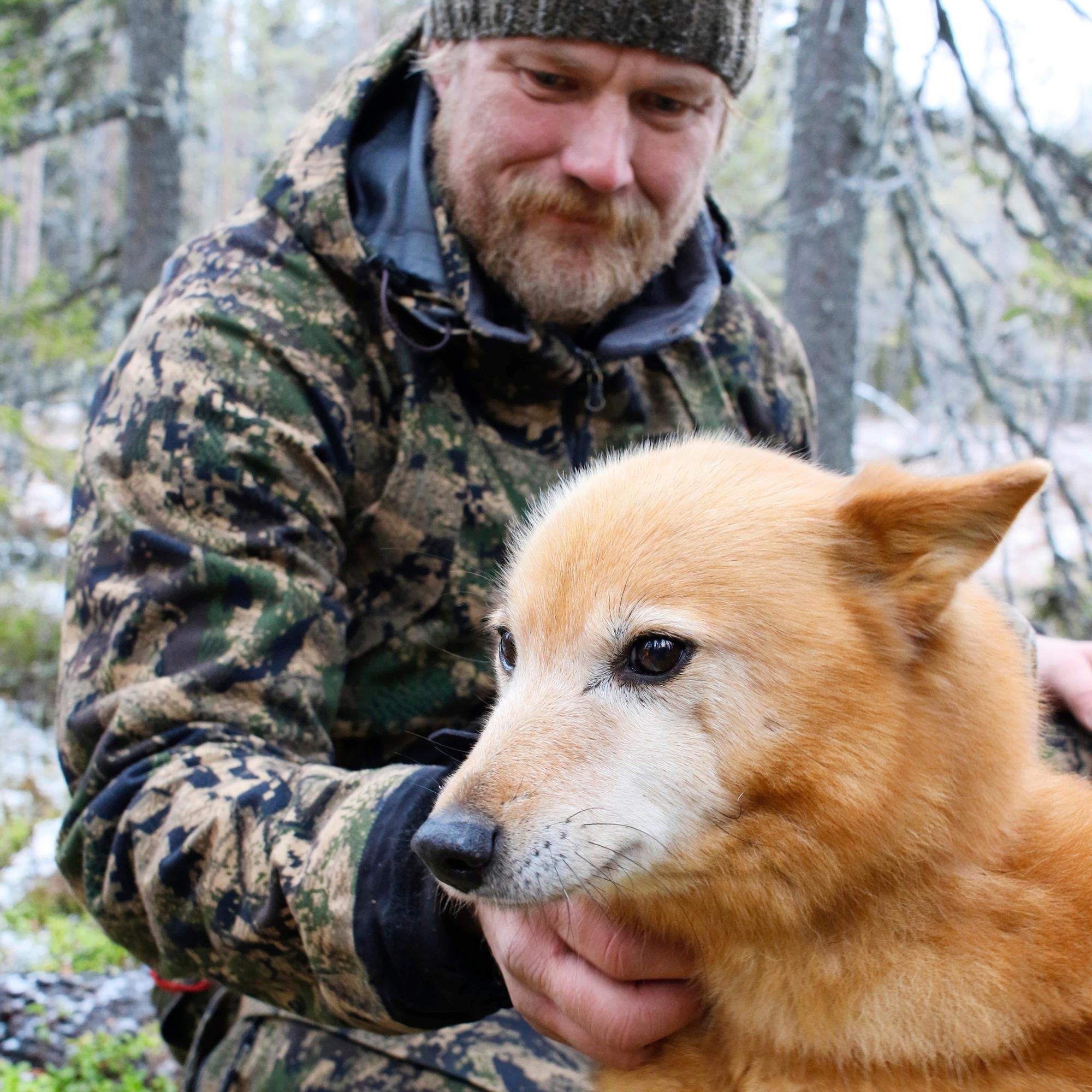 Lyyli on kulkenut jo 12 syksyä metsällä Veli-Pekan kanssa – Toista samanlaista ei tule: ”Luopumisen surutyön olen jo tehnyt – Itkut on itketty”