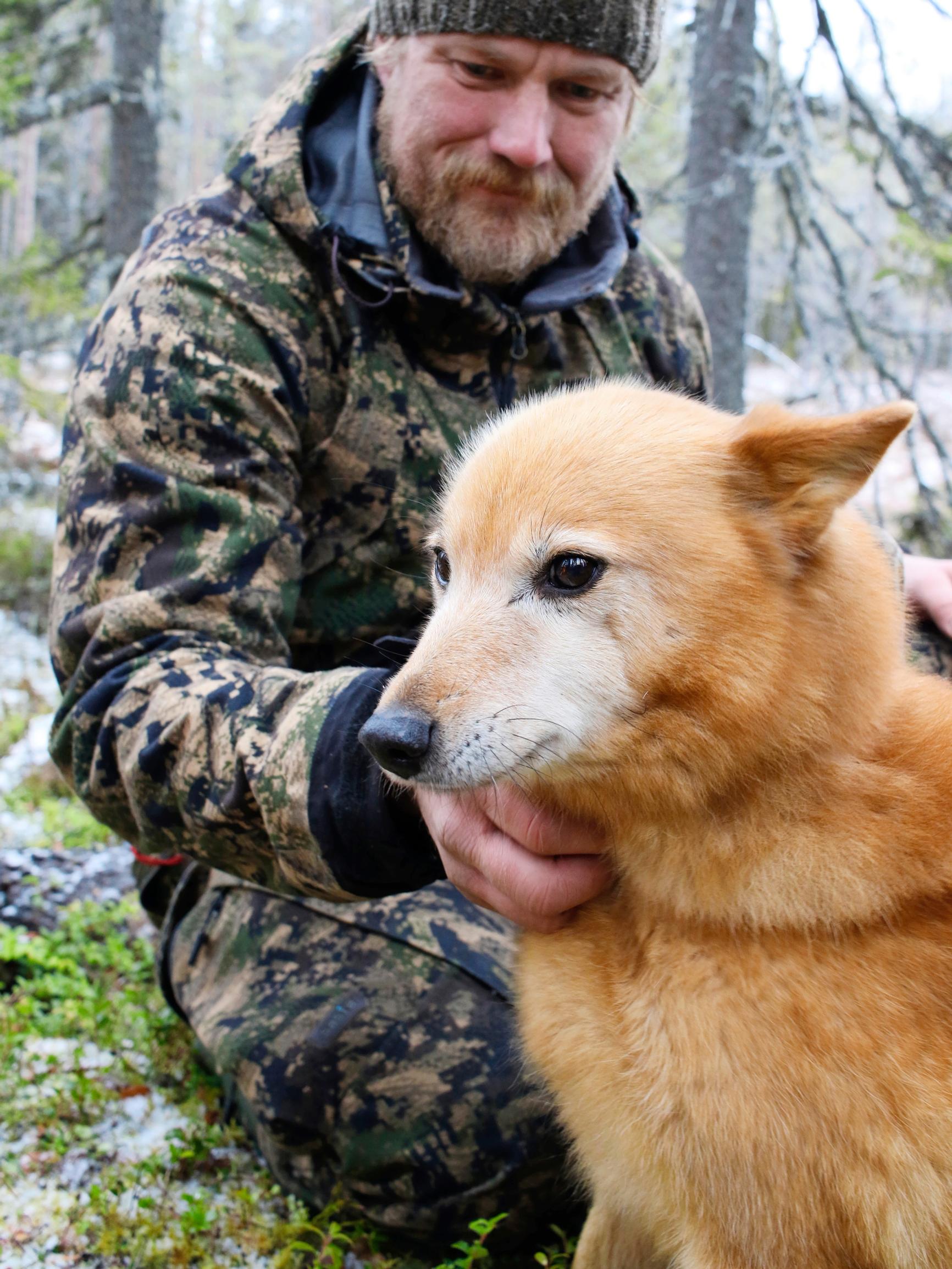 Lyyli on kulkenut jo 12 syksyä metsällä Veli-Pekan kanssa – Toista samanlaista ei tule: ”Luopumisen surutyön olen jo tehnyt – Itkut on itketty”