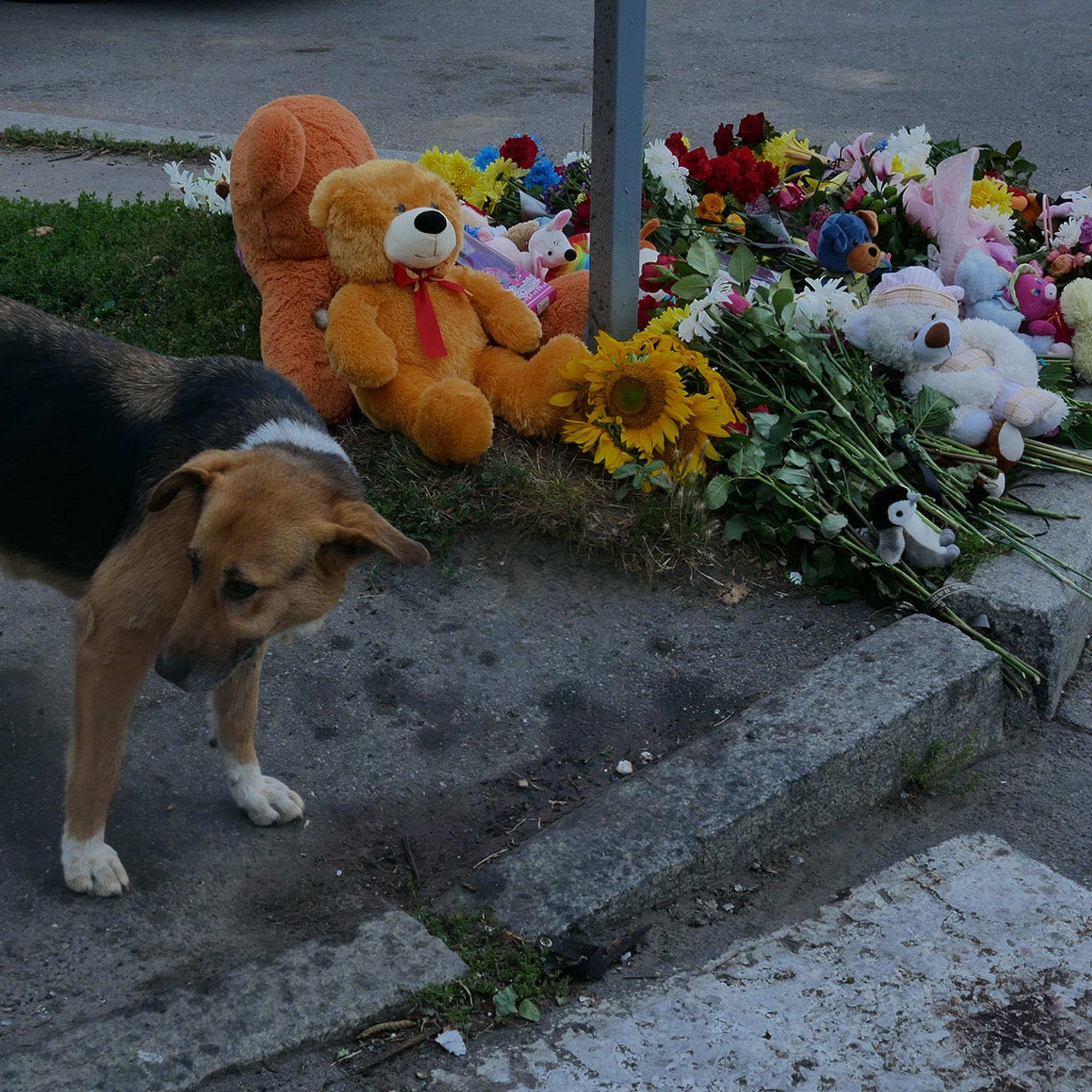 Venäjän siviilikohteisiin kohdistamilla hyökkäyksillä koetellaan ukrainalaisten taistelumoraalia