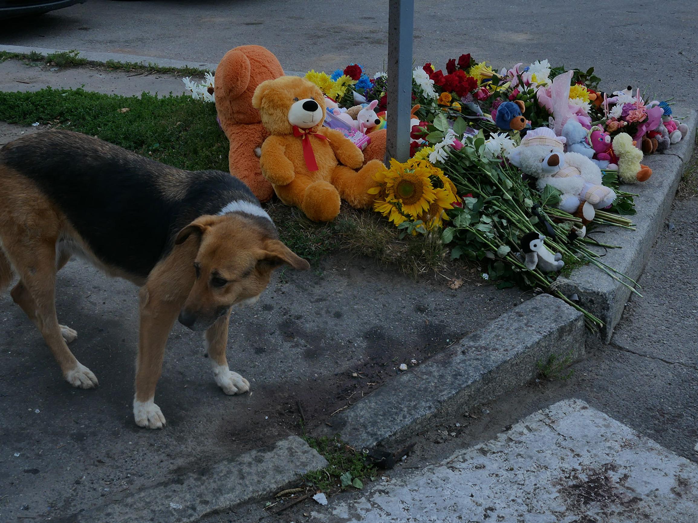 Venäjän siviilikohteisiin kohdistamilla hyökkäyksillä koetellaan ukrainalaisten taistelumoraalia
