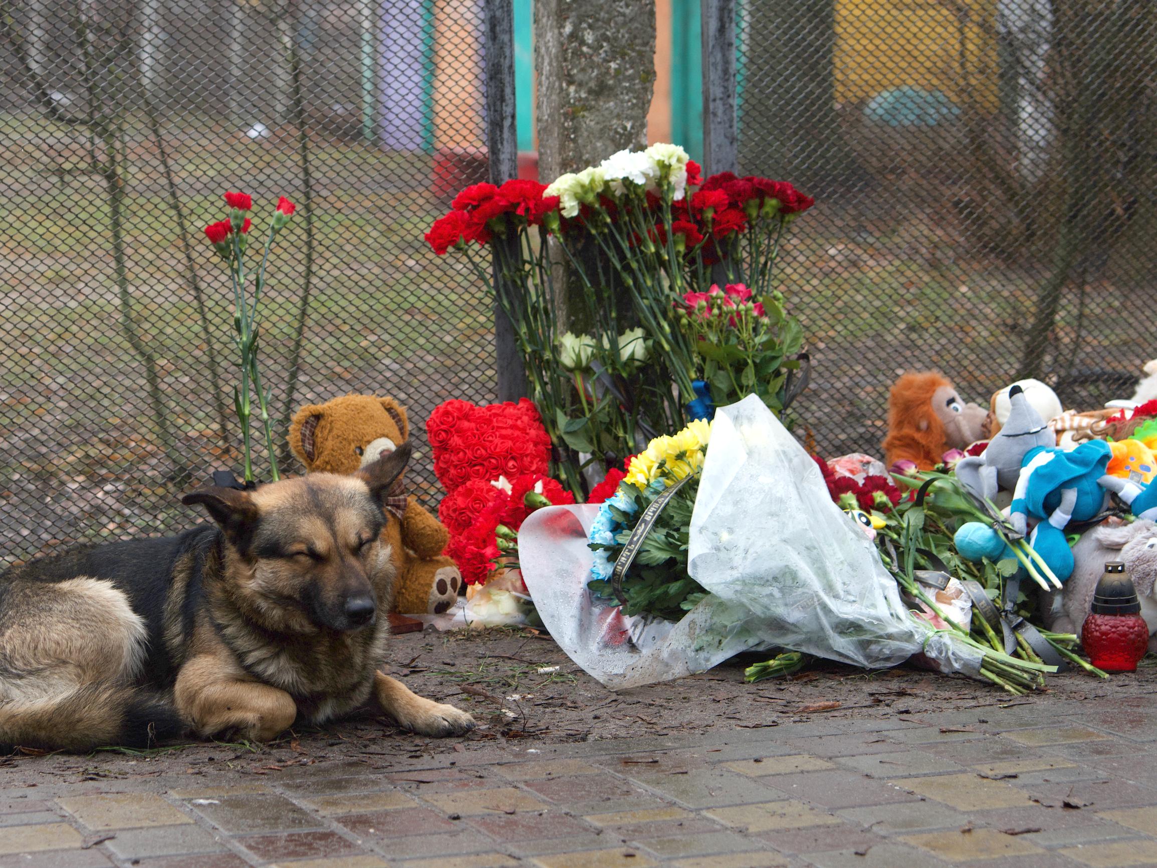 Ukrainan sisäministerin helikopteri osui päiväkodin seinään – Uhrien joukossa useita lapsia, yksi menehtyi – Video: Silminnäkijä kertoo