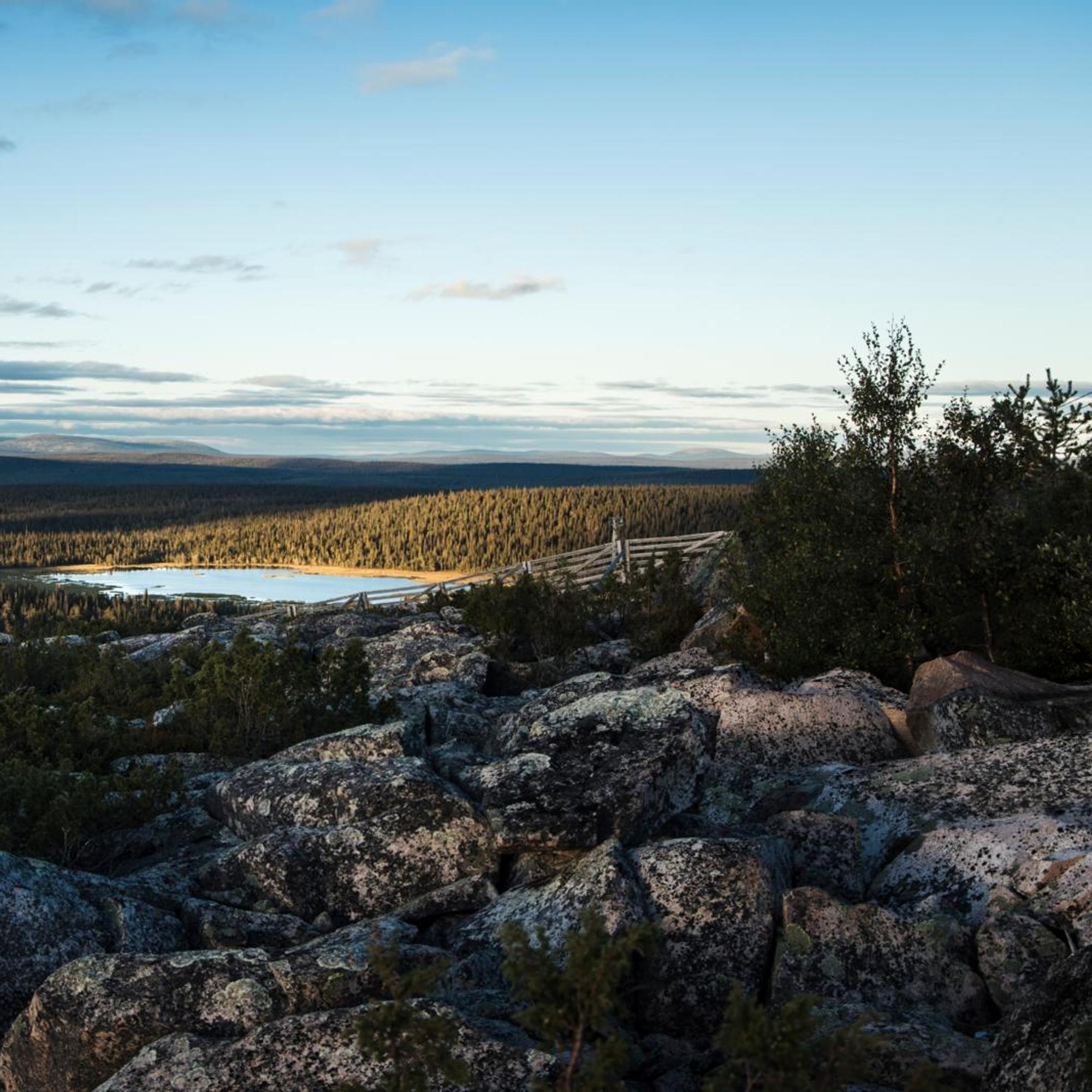Salla on Suomen uusin kansallispuisto – kirjailija Juha Itkonen lähti retkelle sen rauhoittaviin tunturimaisemiin