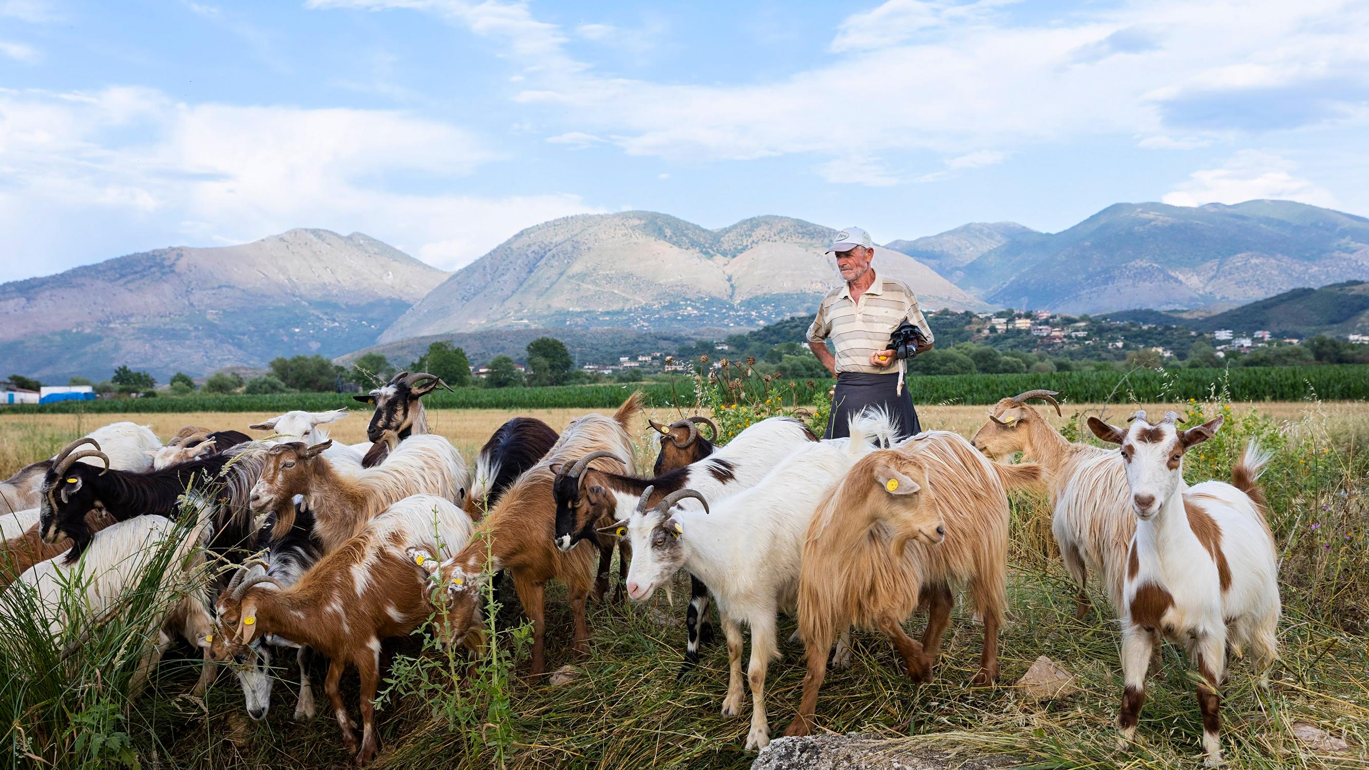 Albania on seikkailijan kohde Euroopassa – vaella vuorilla, ihmettele kommunistista arkkitehtuuria ja sukella maan kiehtovaan historiaan