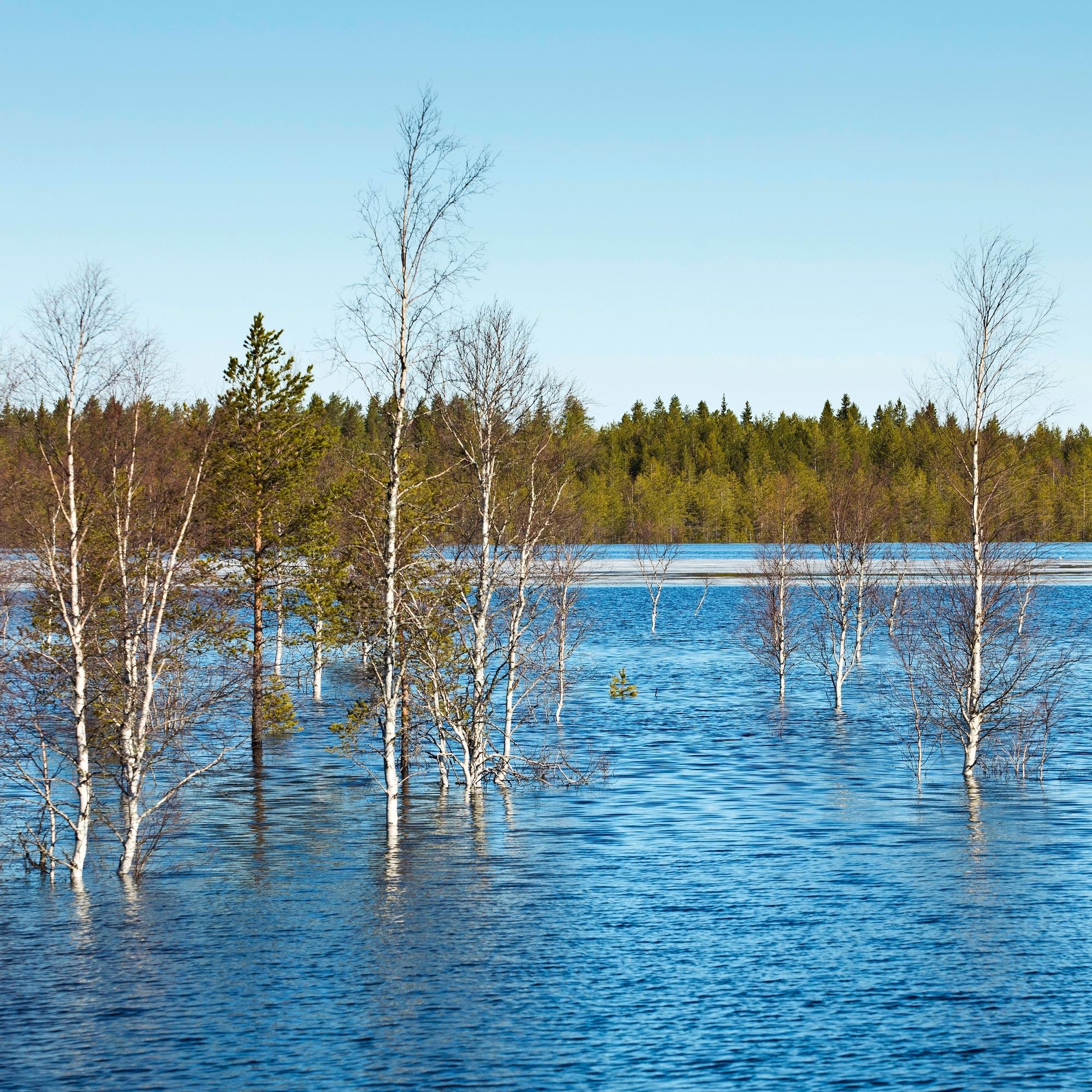 Keskimääräisiä kevättulvia luvassa – Lapissa lunta tavallista vähemmän ja tulvat jäänevät pienemmiksi – Tornionjoki on poikkeus