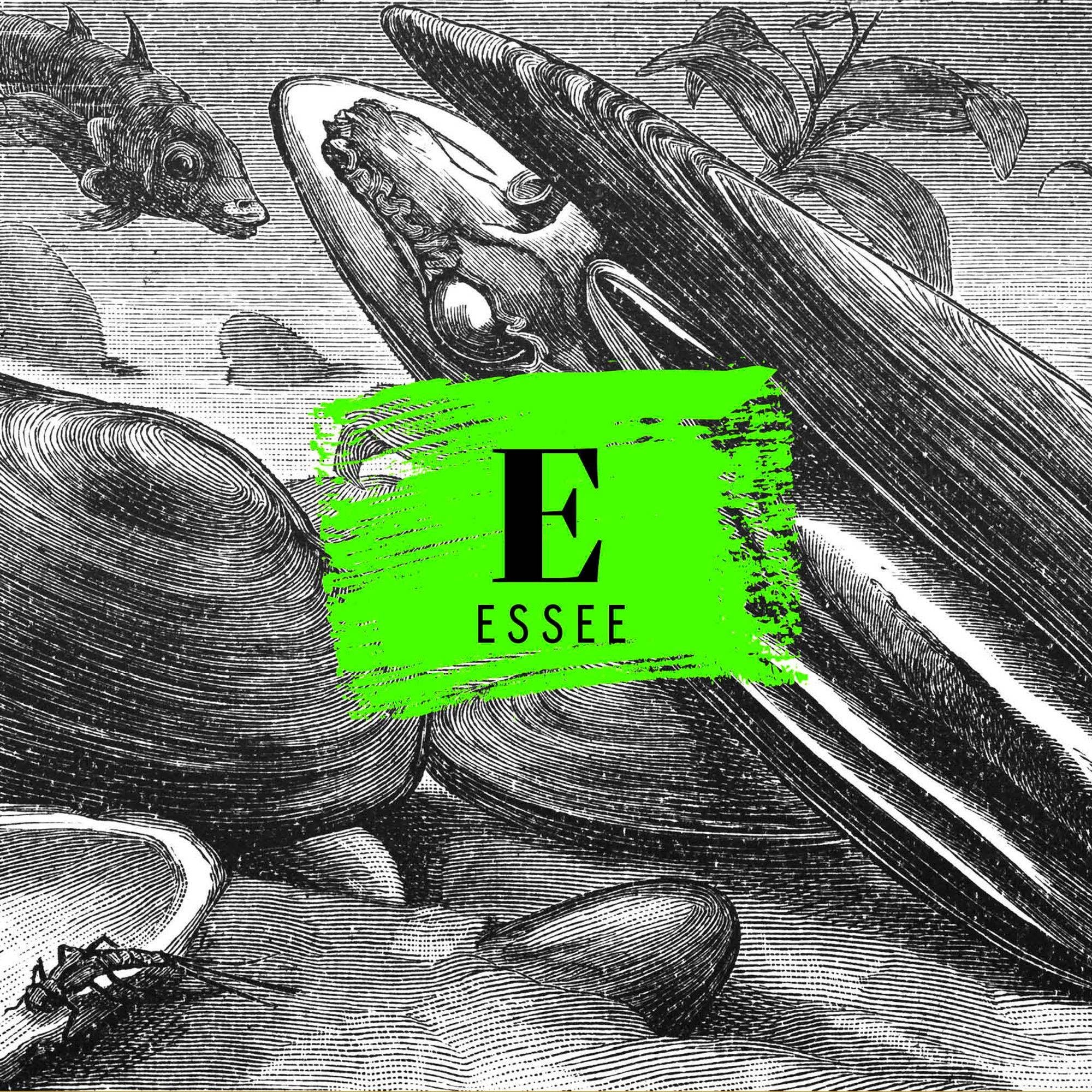 Nyt puhuu raakku: ”On kuulkaa varsin tympeää olla ihmisten arvoristiriitojen ja identiteettisotien kohde”