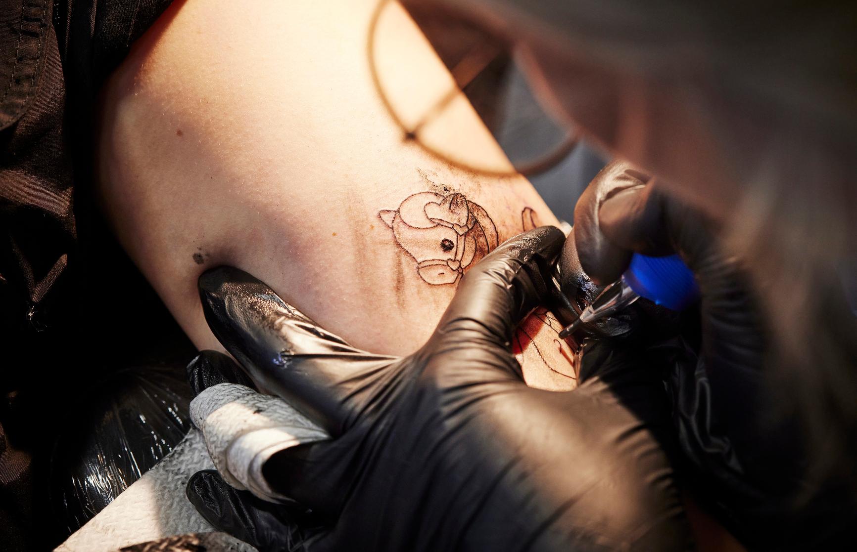 Tatuointiala järjestäytyy: tatuoijaksi voi päätyä Kelan tuella | Apu
