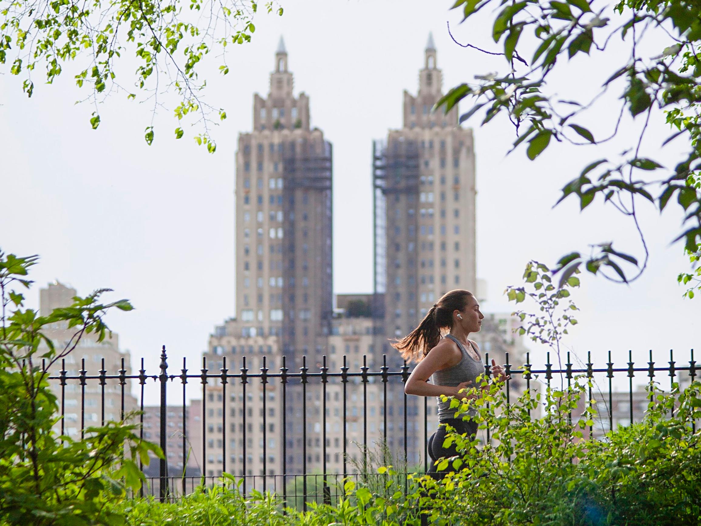 Keskellä New Yorkia on paikka, jossa voi bongata haukan, kojootin tai pesukarhun – lähde nojatuolimatkalle ihmeelliseen Central Parkiin