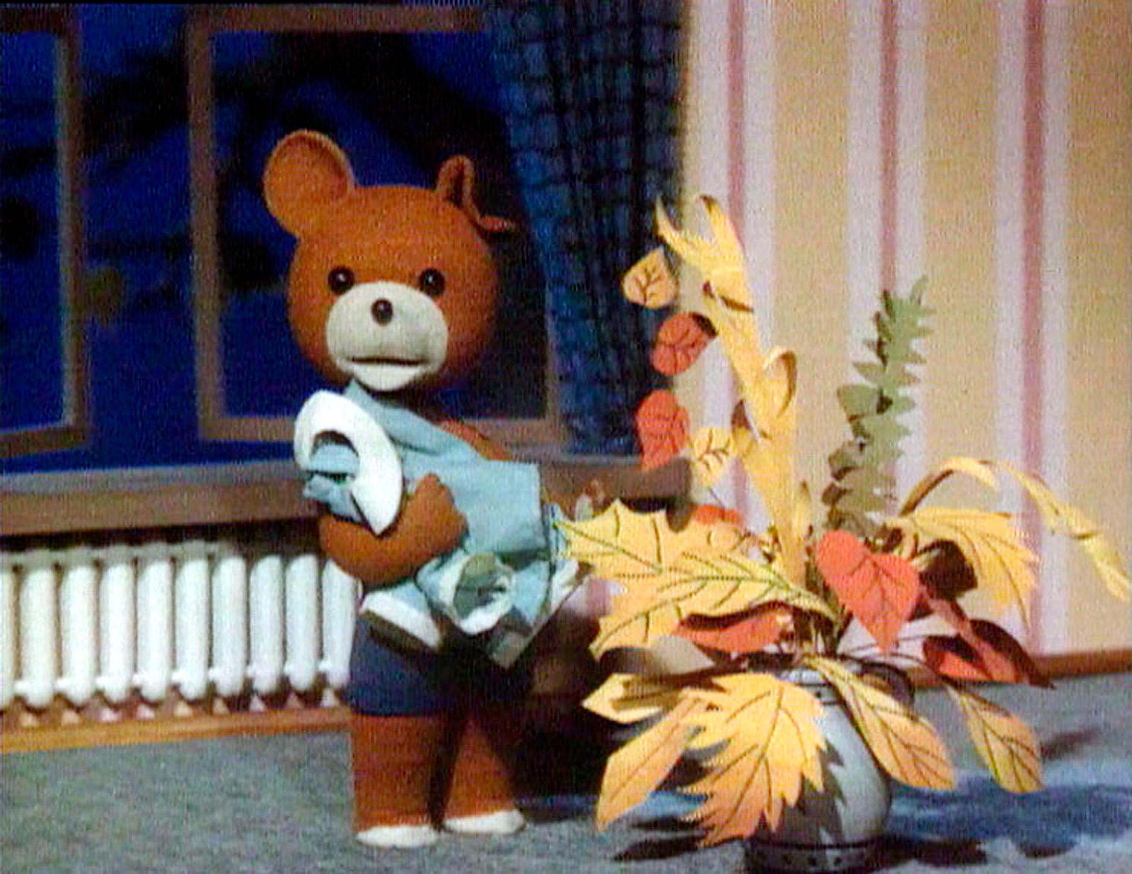 Nalle Luppakorva on puolalainen nukkeanimaatio, jonka esittäminen Pikku Kakkosessa alkoi 1979. Nallelle äänen antoi näyttelijä Heikki Määttänen.