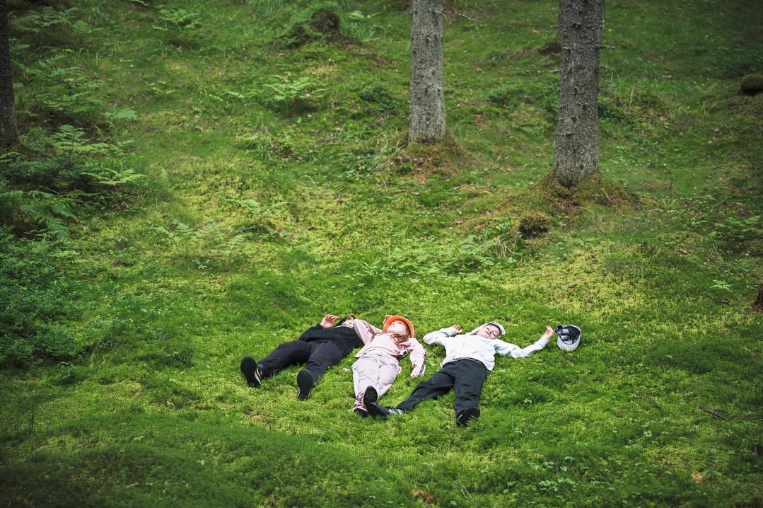 Luonto iskee takaisin | Suomalainen metsä kuin Avatar-elokuvasta | Apu