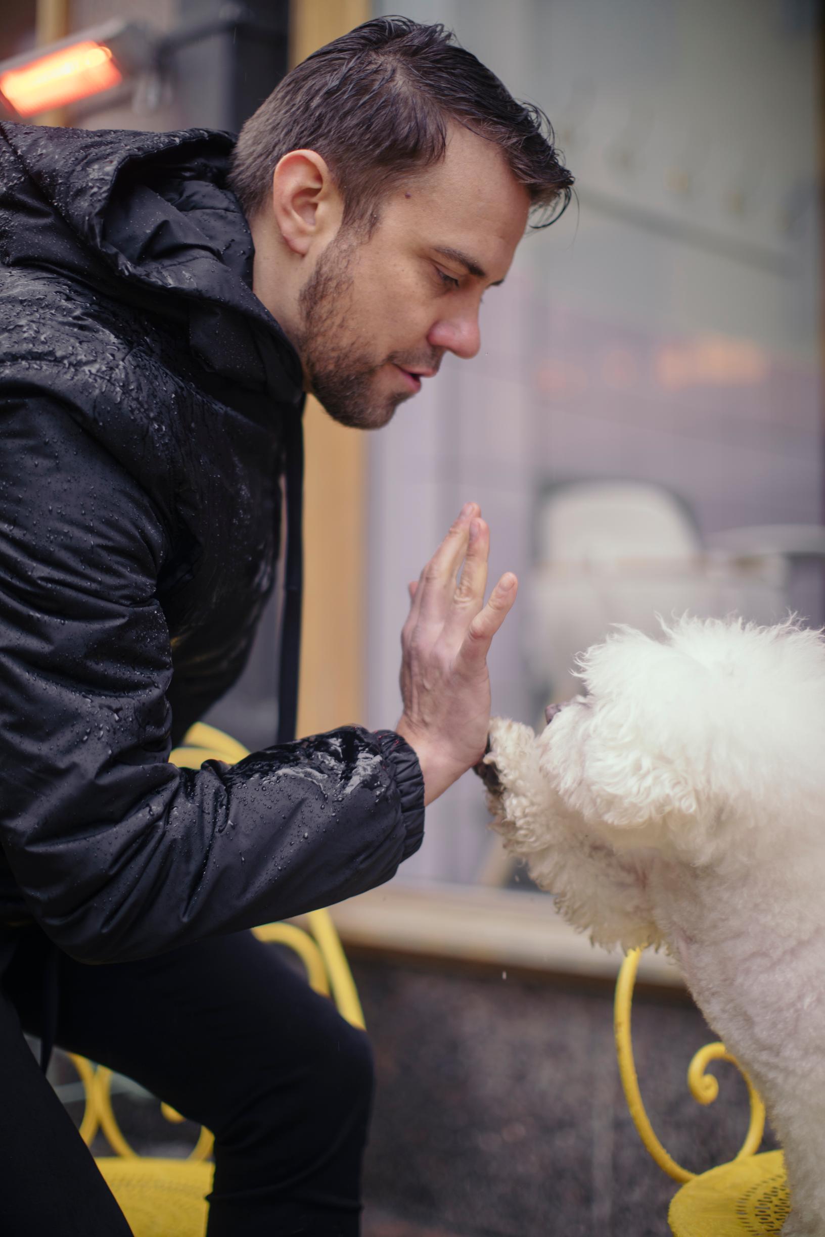Antti Ketonen ja bichon frisé Elli lyövät kättä tassuun.