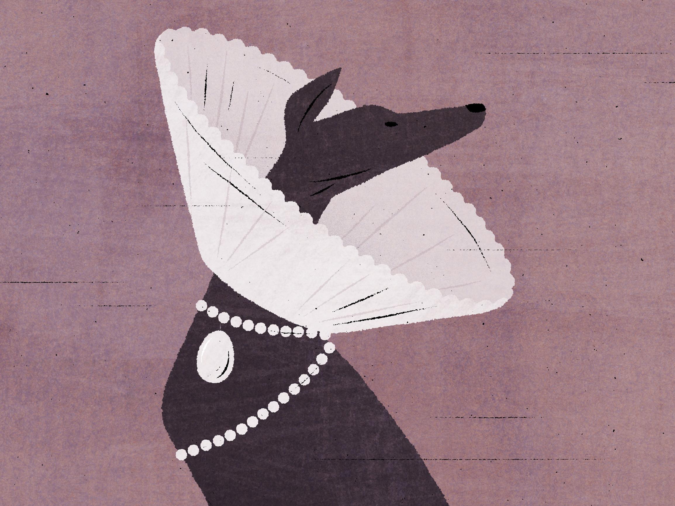 Lemmikin tuomat hyvinvointihyödyt ovat tiedossa, mutta ylläpito kallistuu − pitäisikö sosiaaliturvajärjestelmän huomioida lemmikkeihin liittyviä kuluja?