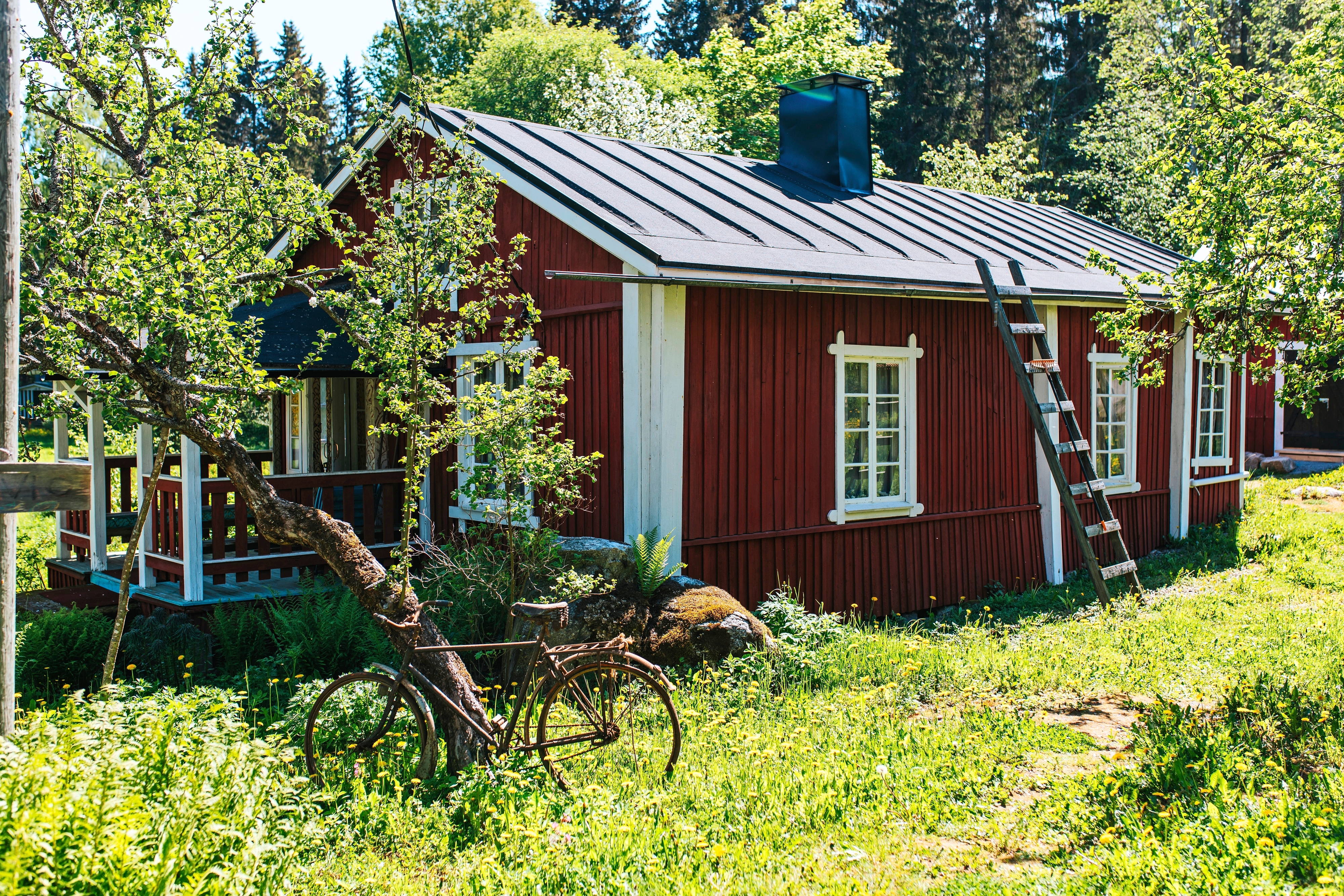 Enni Idin upeassa taiteilijakodissa on taiteiltu seinätkin | Apu