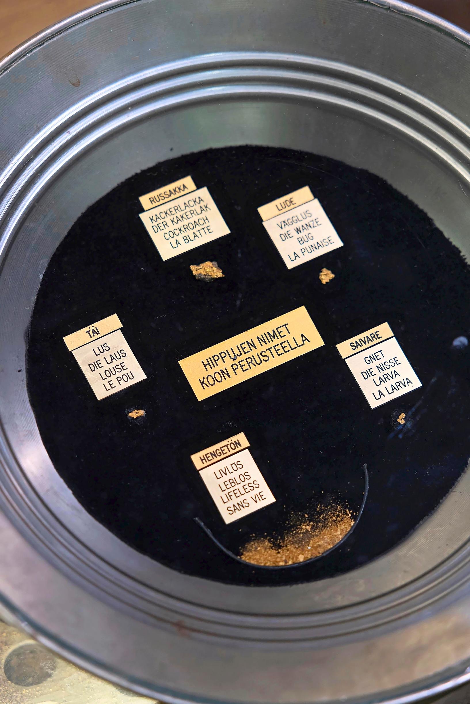 Kullankaivuu on houkutellut onnenonkijoita Lappiin 1800-luvun lopulta asti. Tästä historiasta kertoo Tankavaaran Kultamuseo.